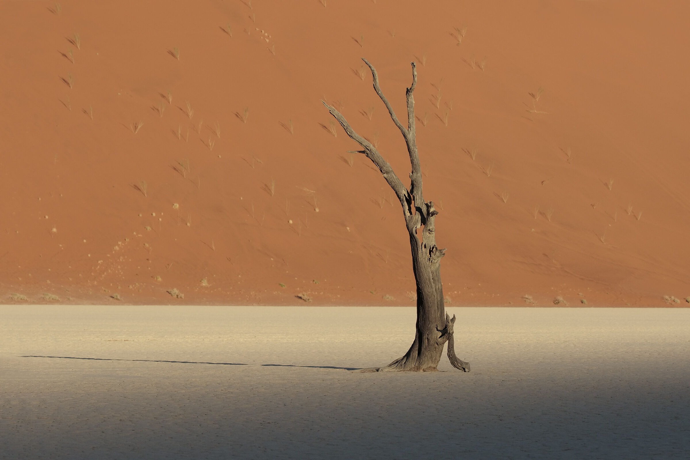 Deadvlei