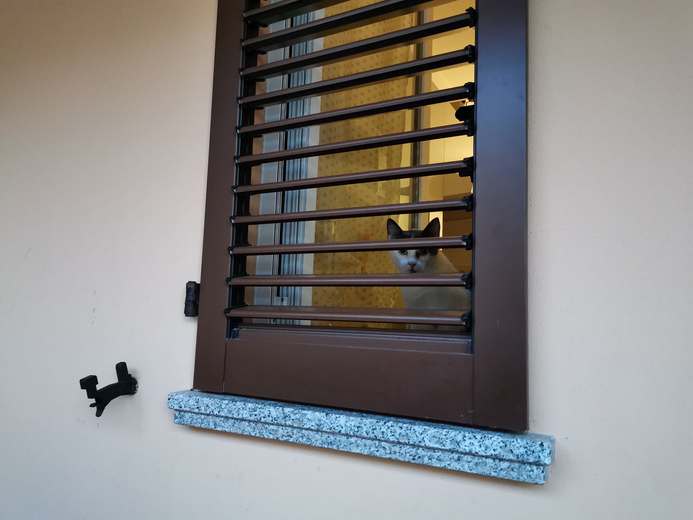 Momiji aspetta il ritorno altra prospettiva