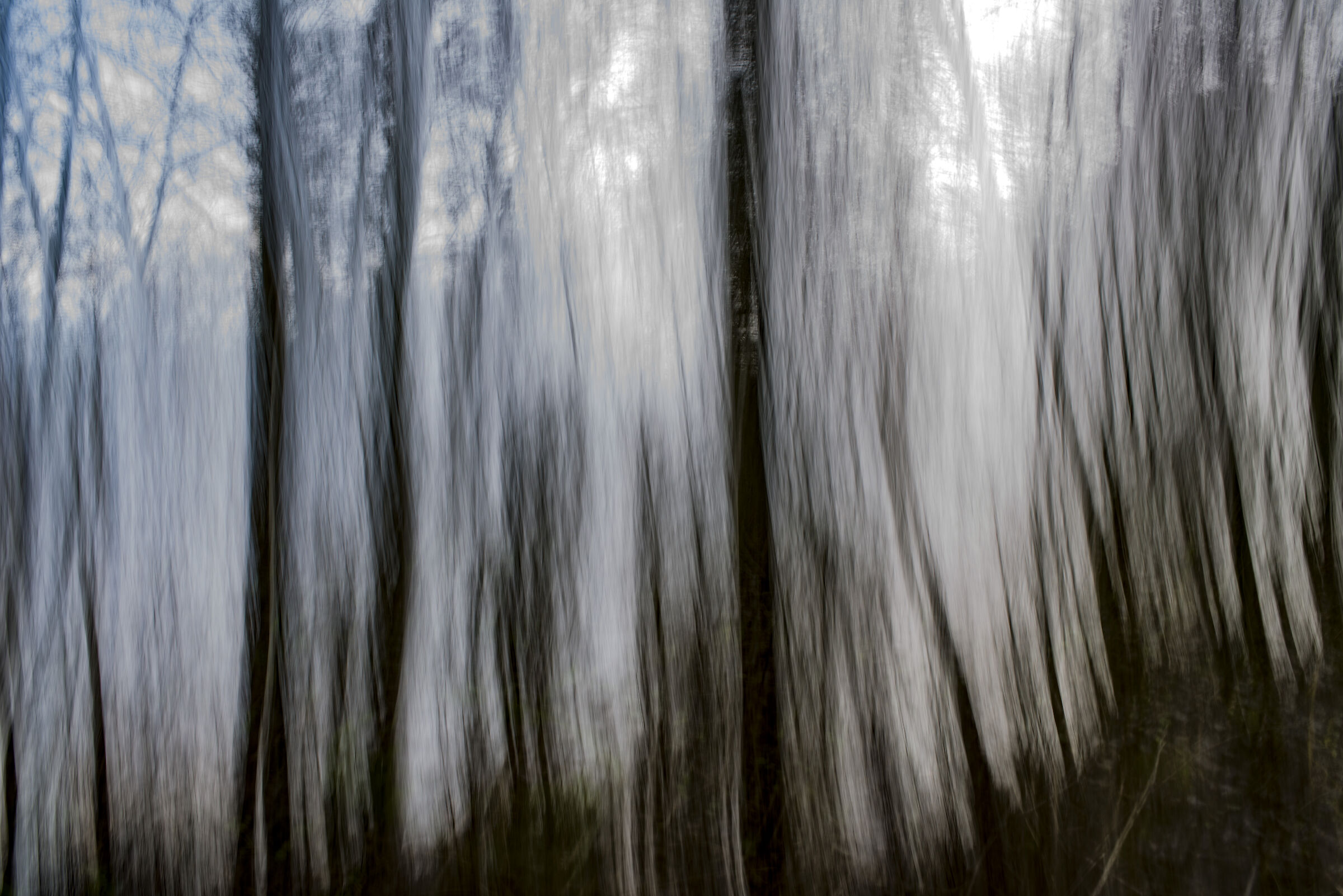 Spostamento di alberi