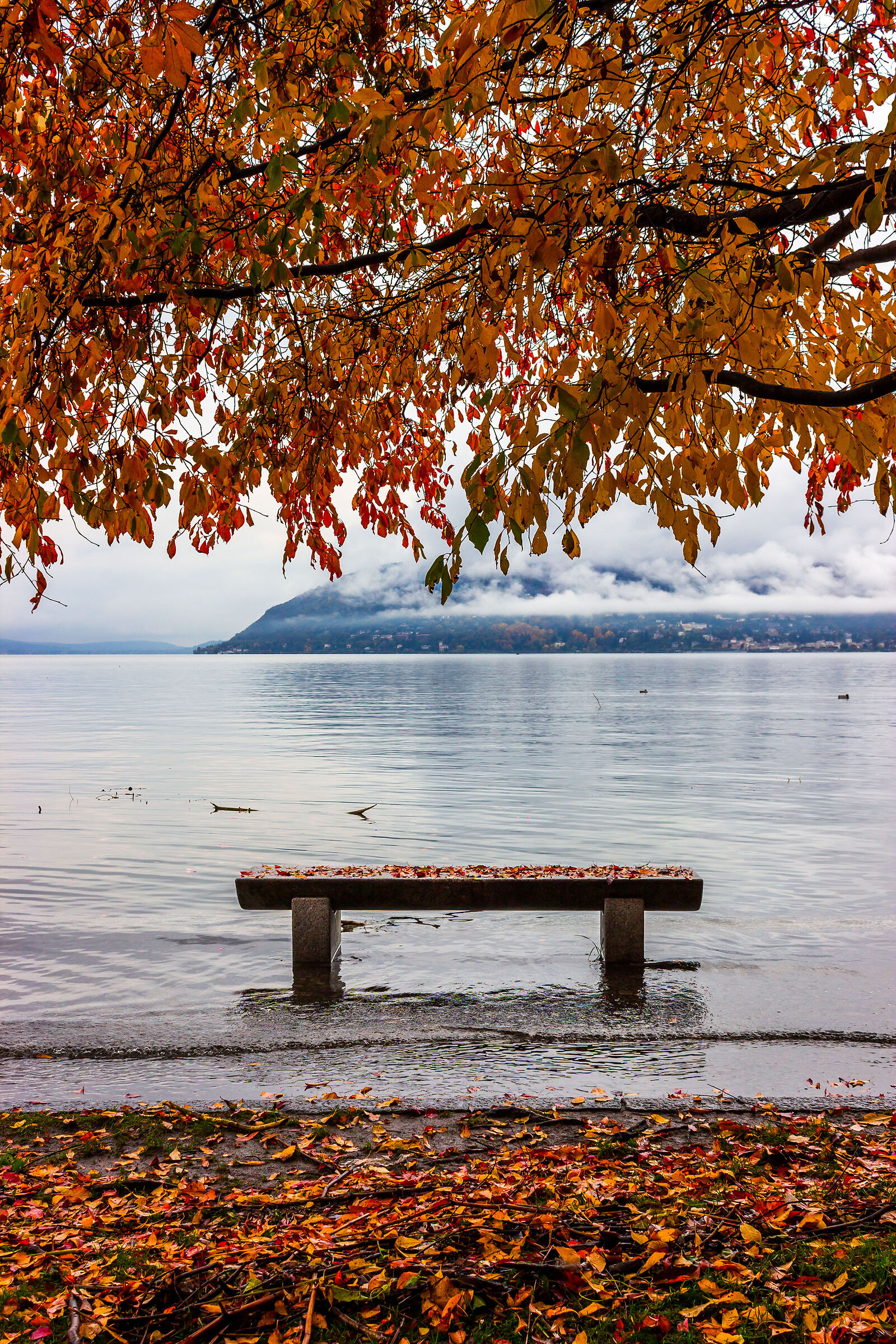 High water in Pallanza.