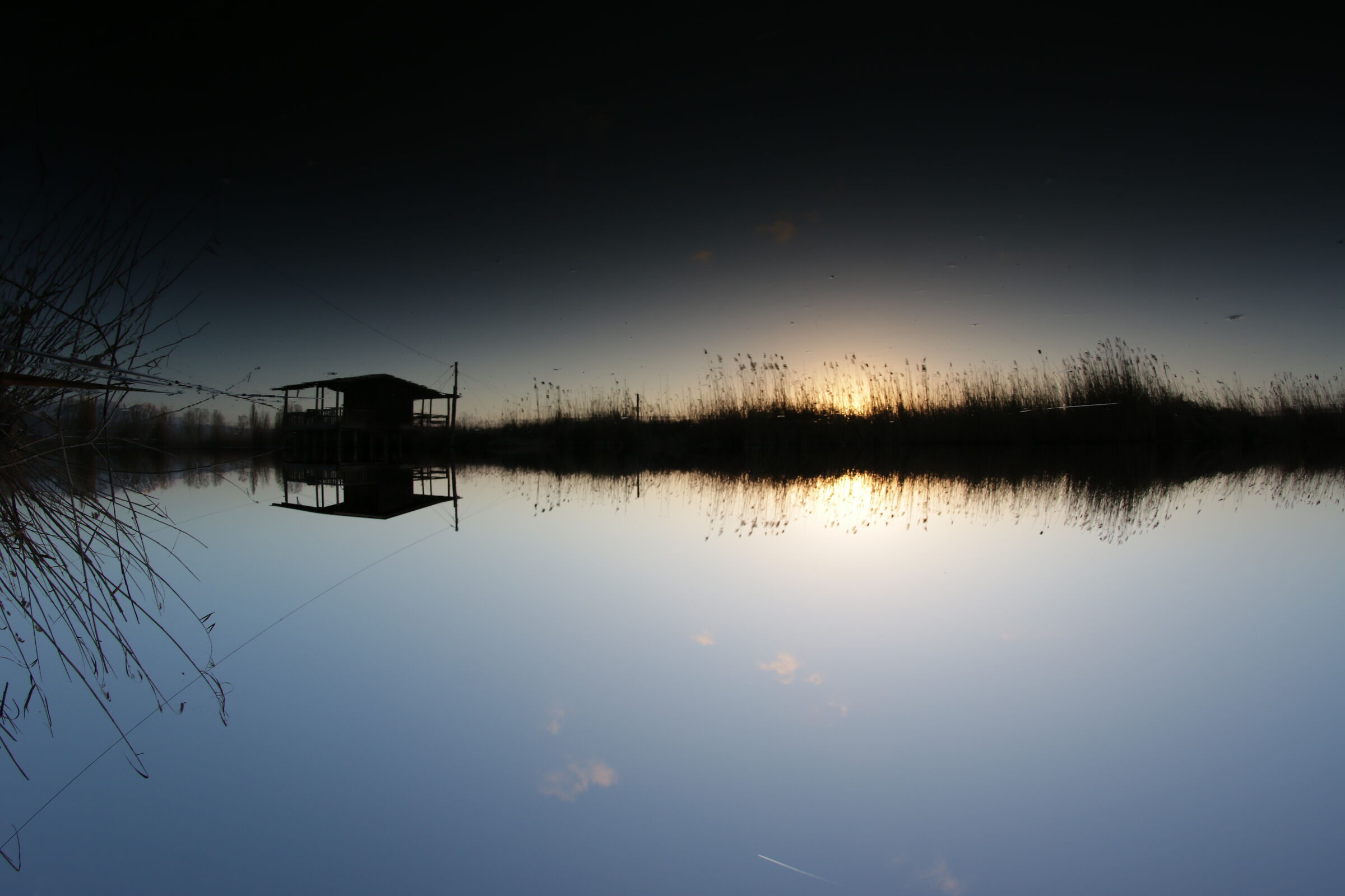 Riflesso nel Lago di Massaciuccoli (Massa)