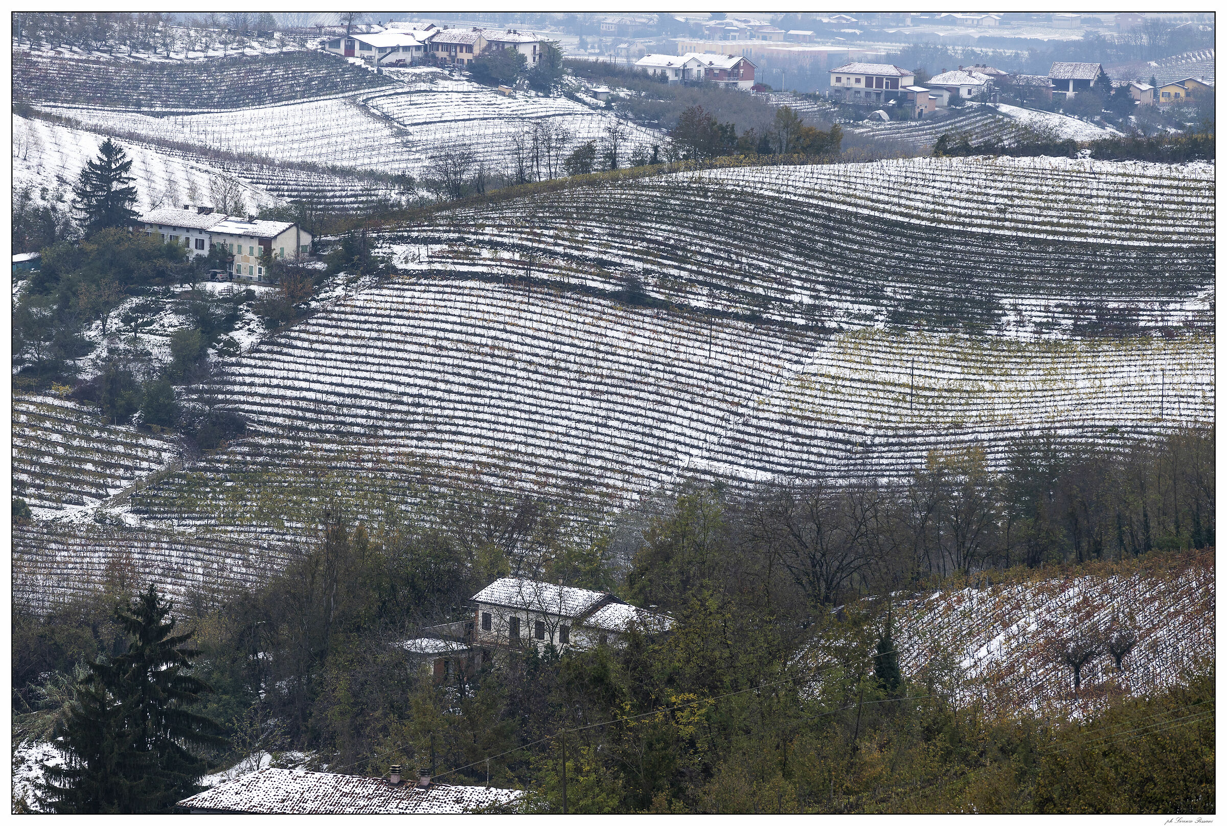 Snow on the Langhe