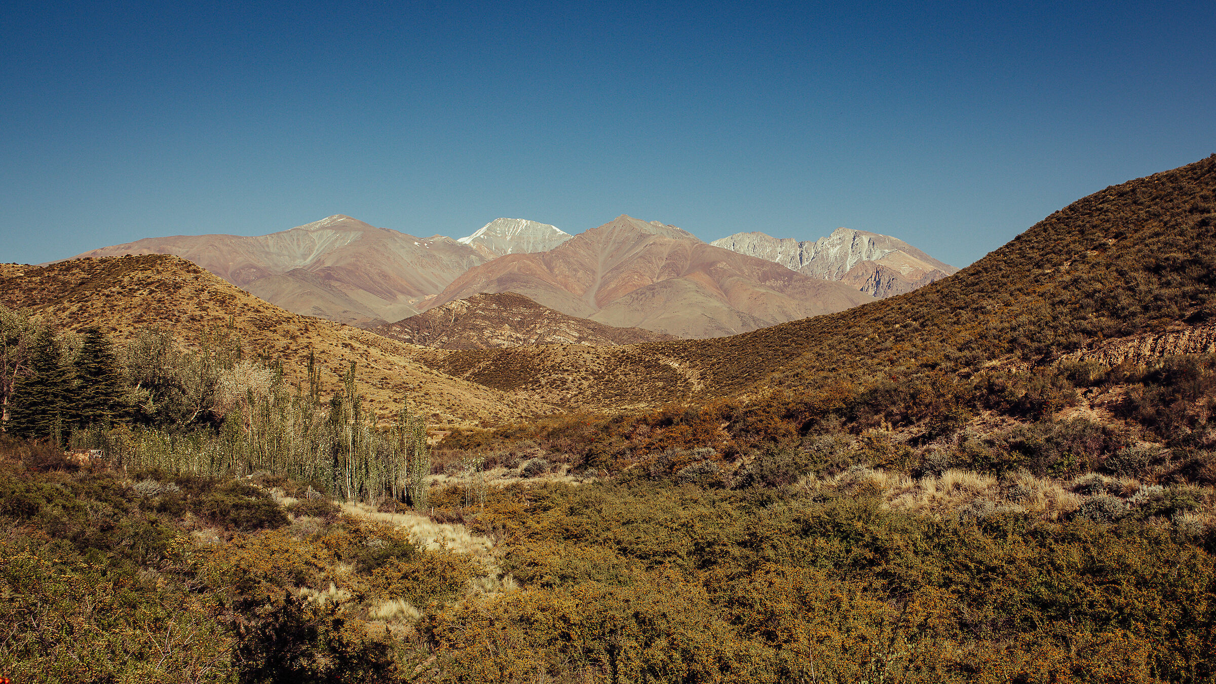 un dono della natura