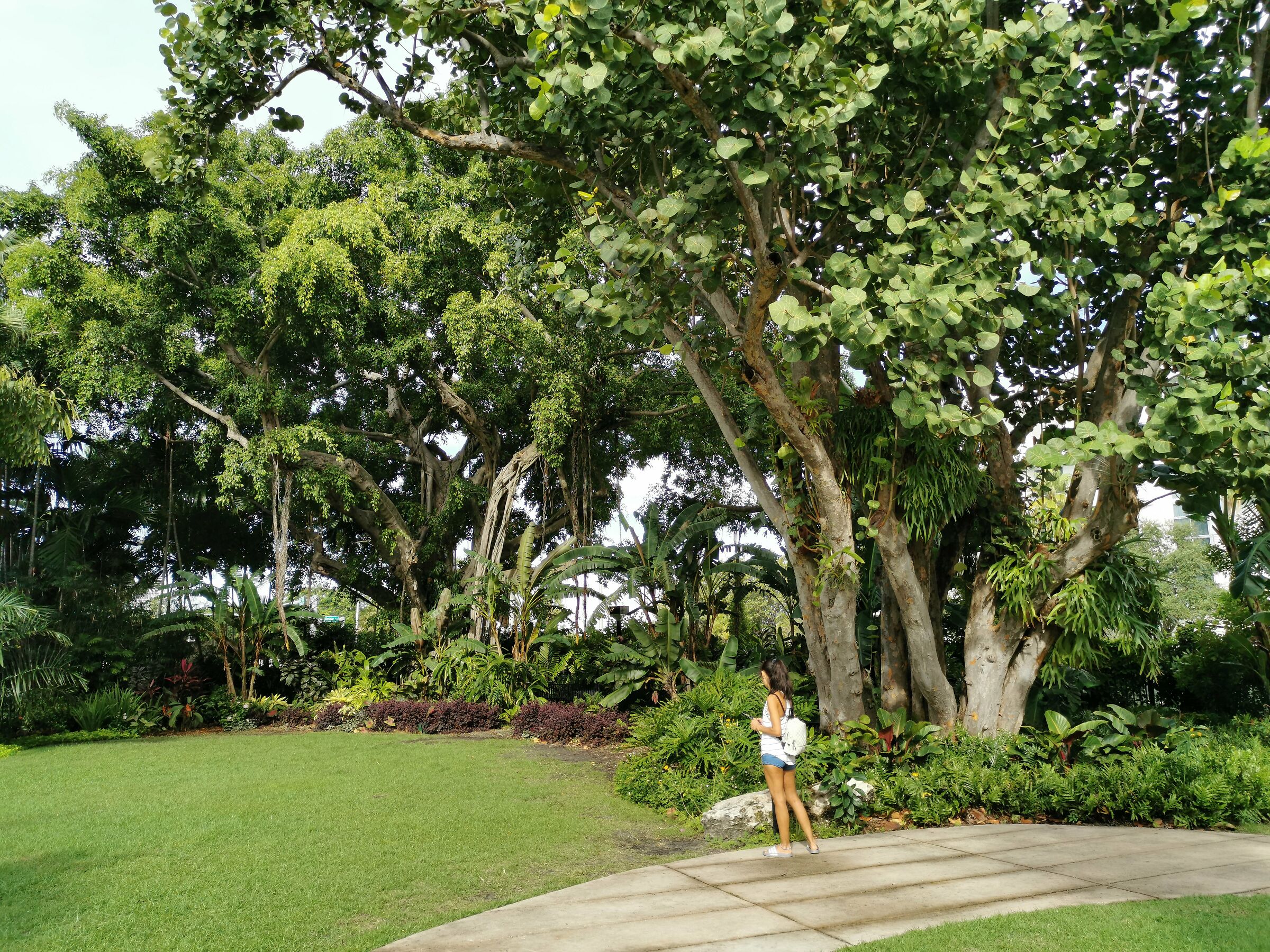 Giardino botanico Miami