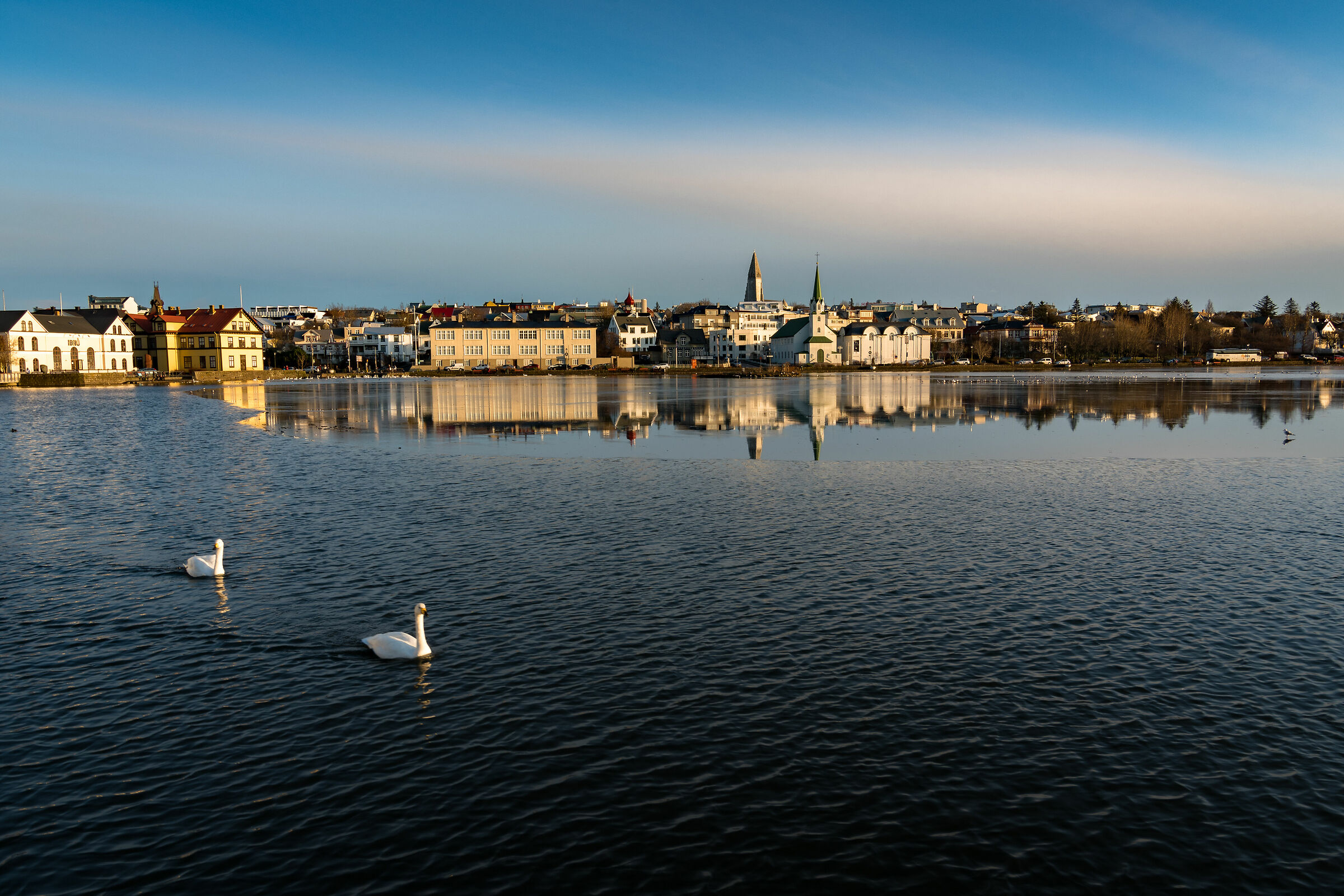 Reykjavik Reflections