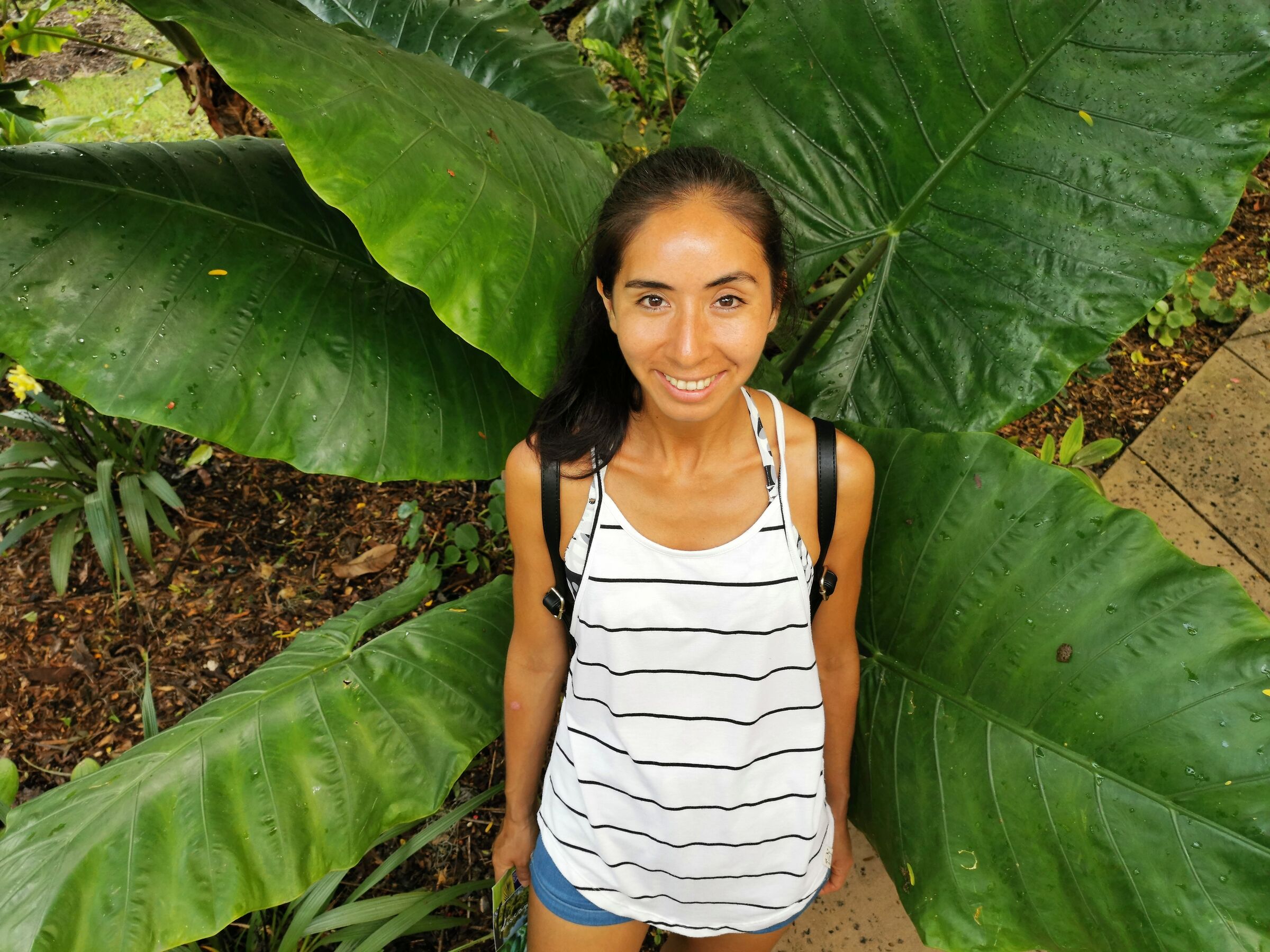 Giardino botanico Miami