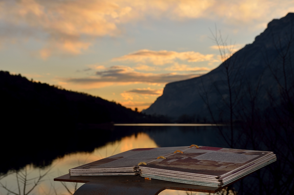 Sunsets and fairy tales