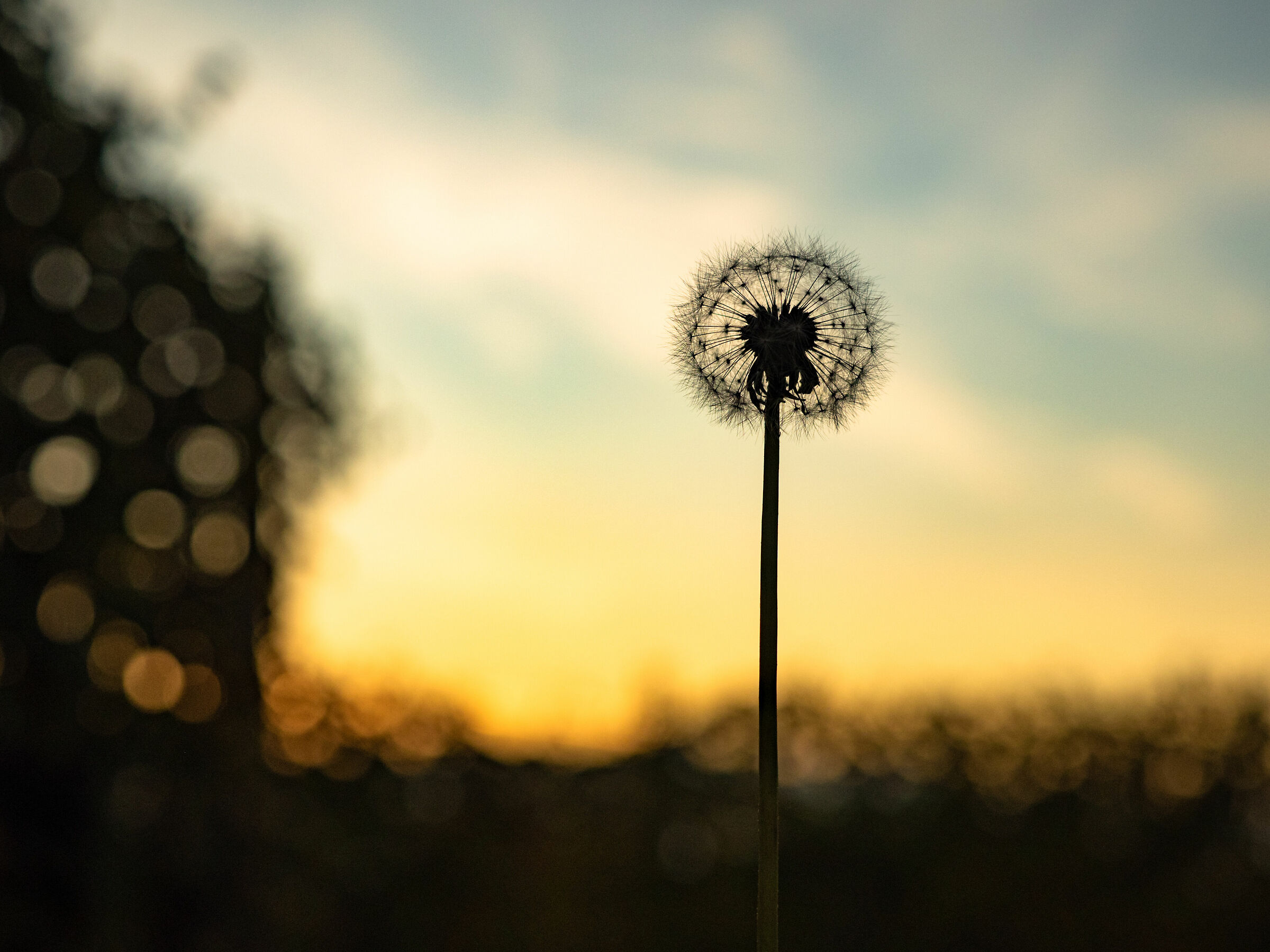 Blow at sunset