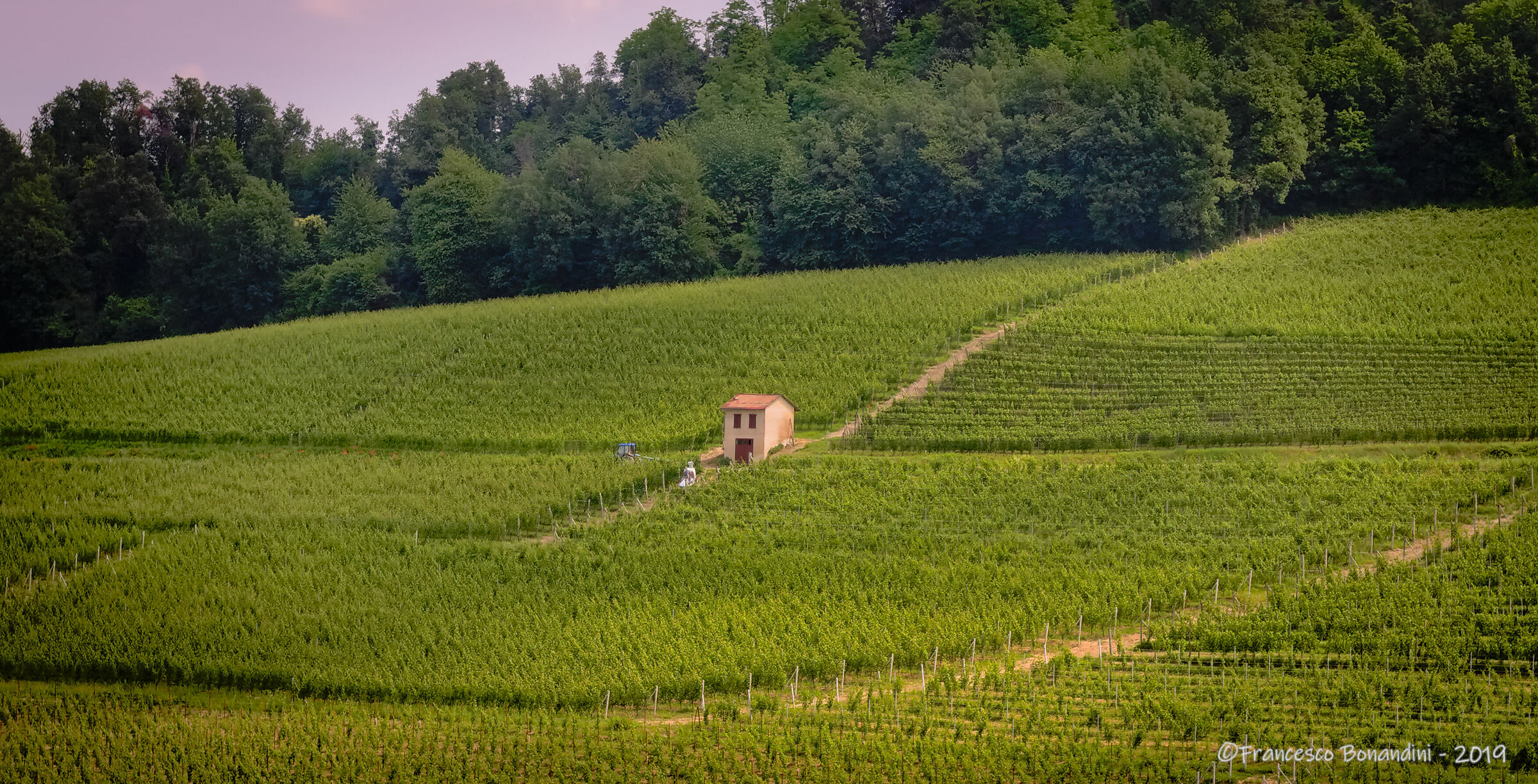 La casetta del vigneto