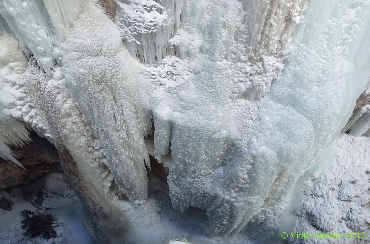 Canyon Jasper Park 3