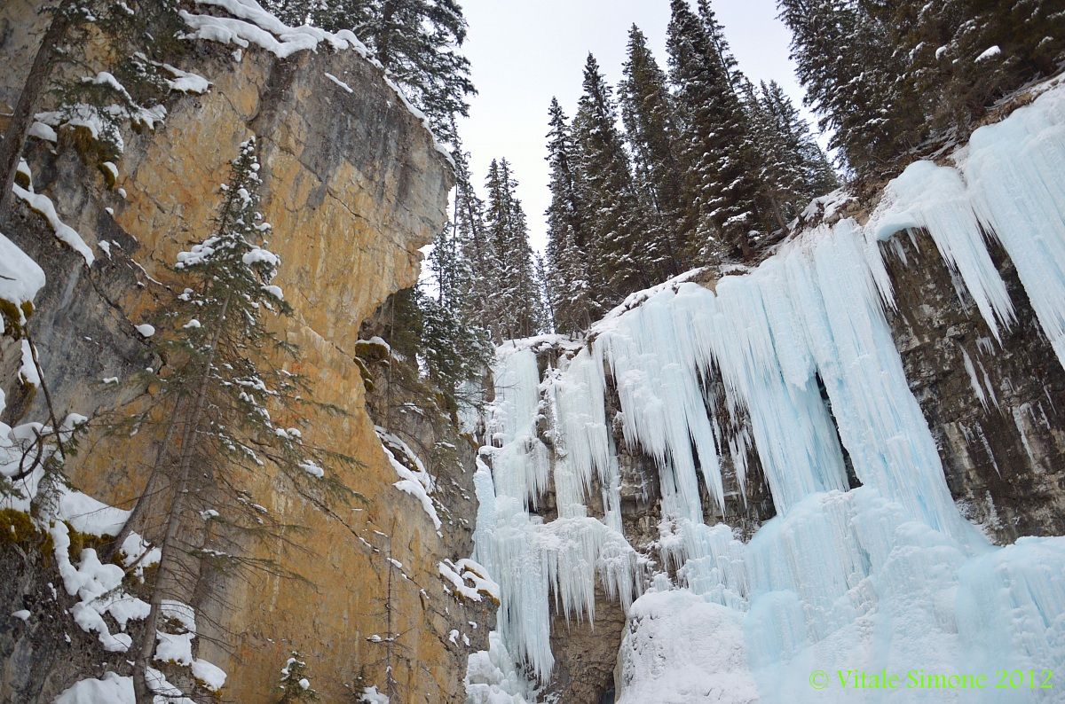 Canyon Jasper Park 4