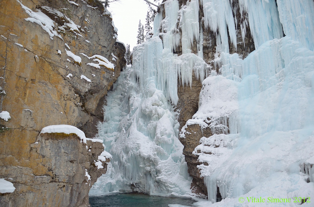 Canyon Jasper Park 5