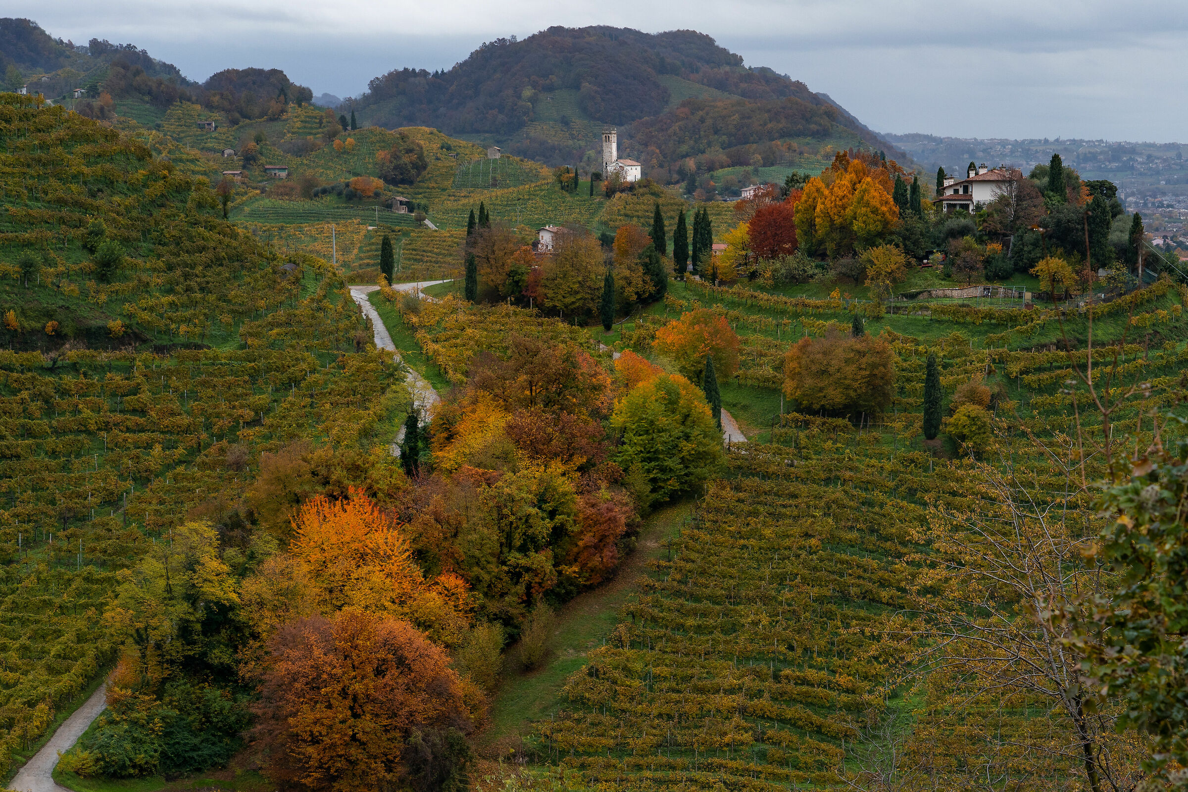 autumn tail in the hills