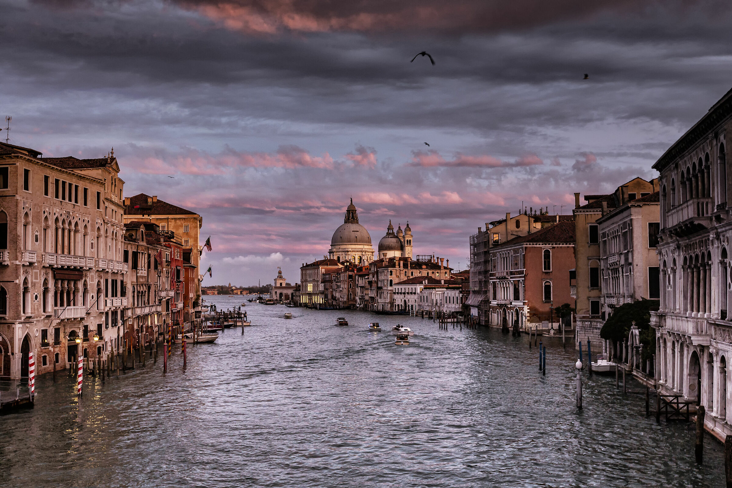 Vista della Basilica della Madonna della Salute
