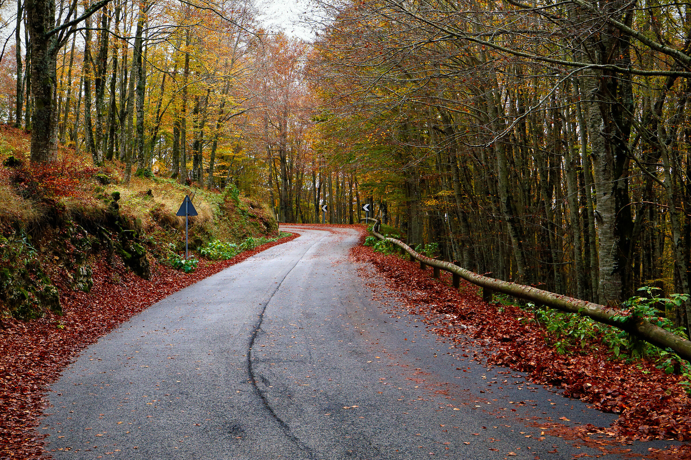 Mount Livata, On the Road