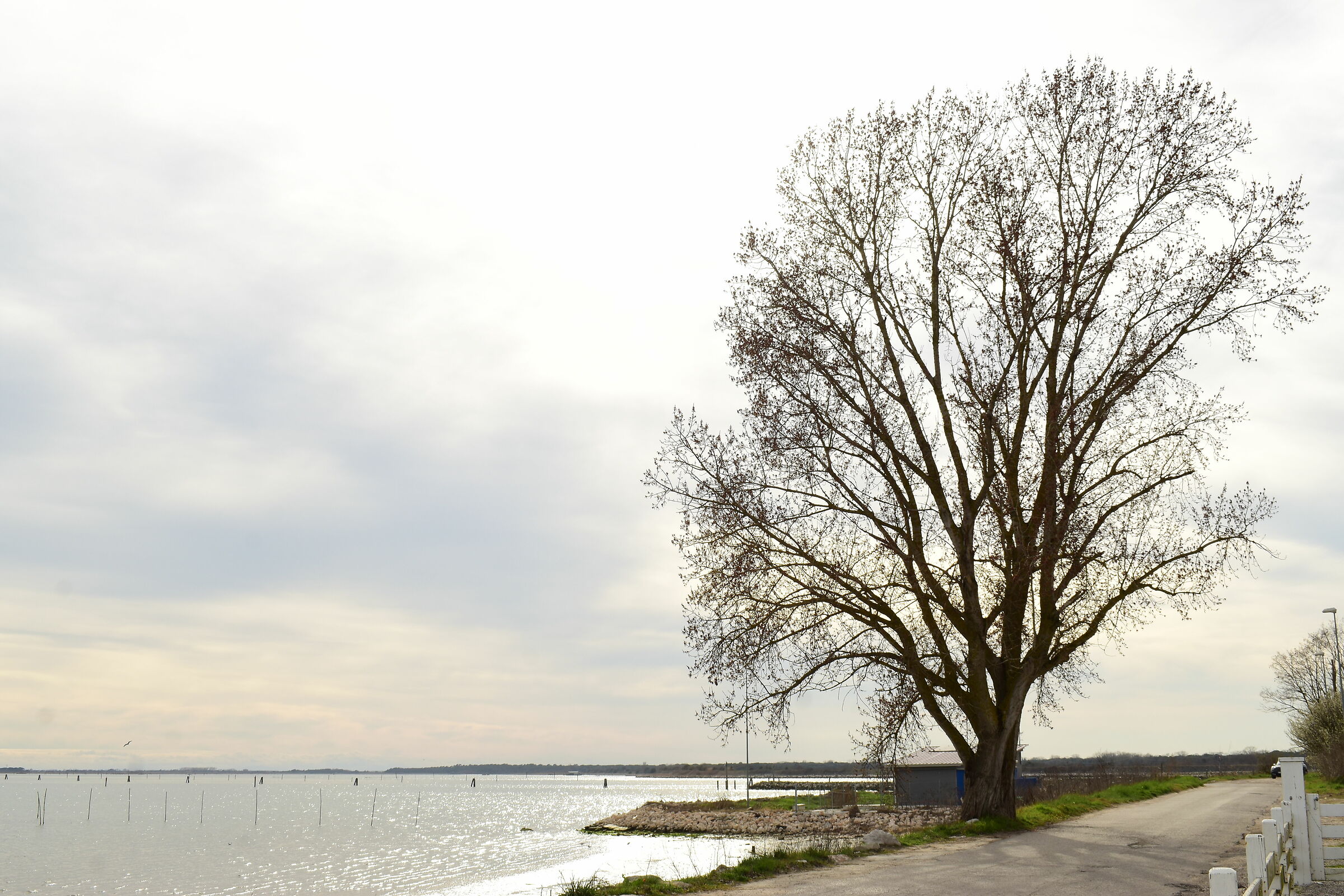 The landscapes of the Delta del Po Park