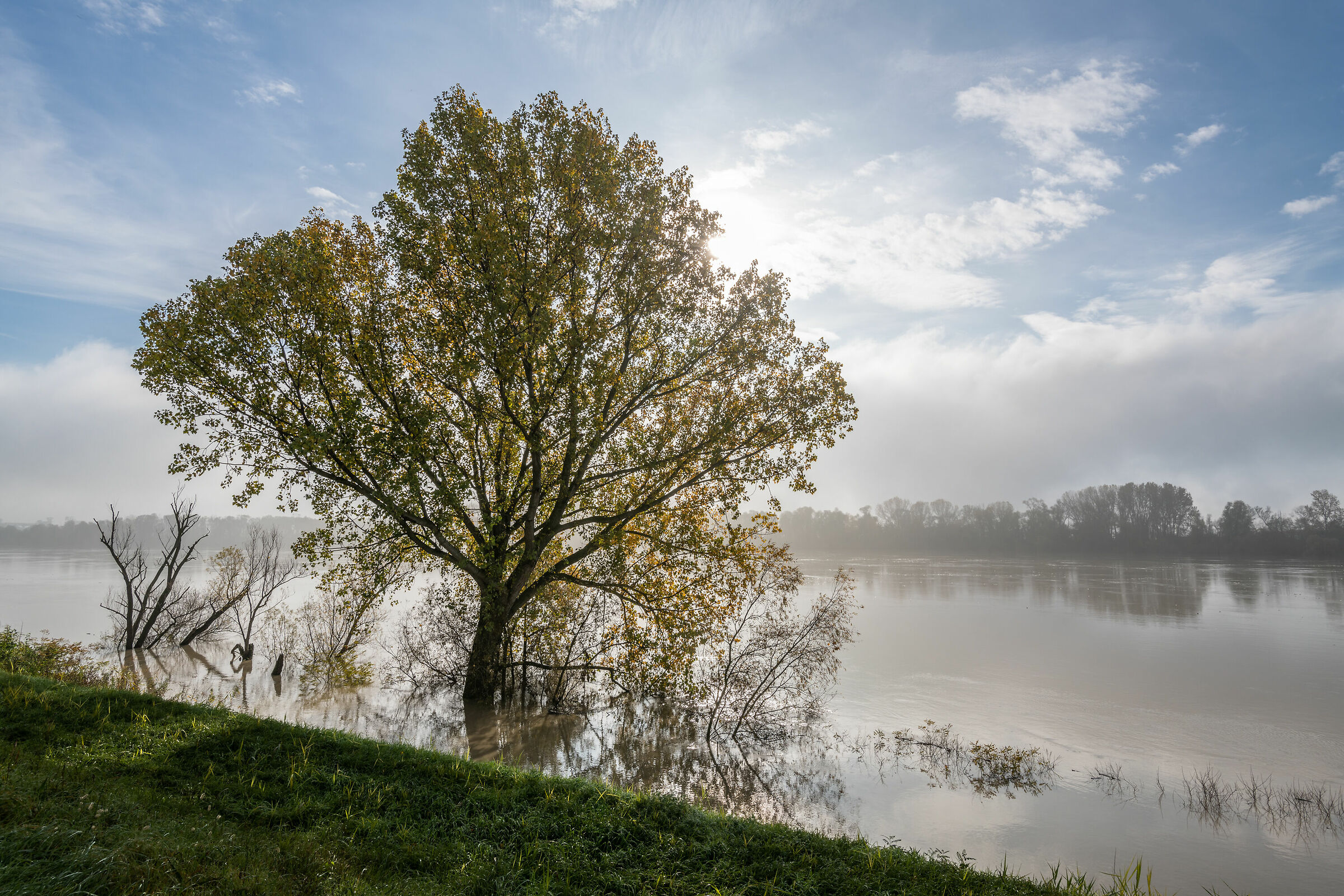 The flood, the fog, the sun