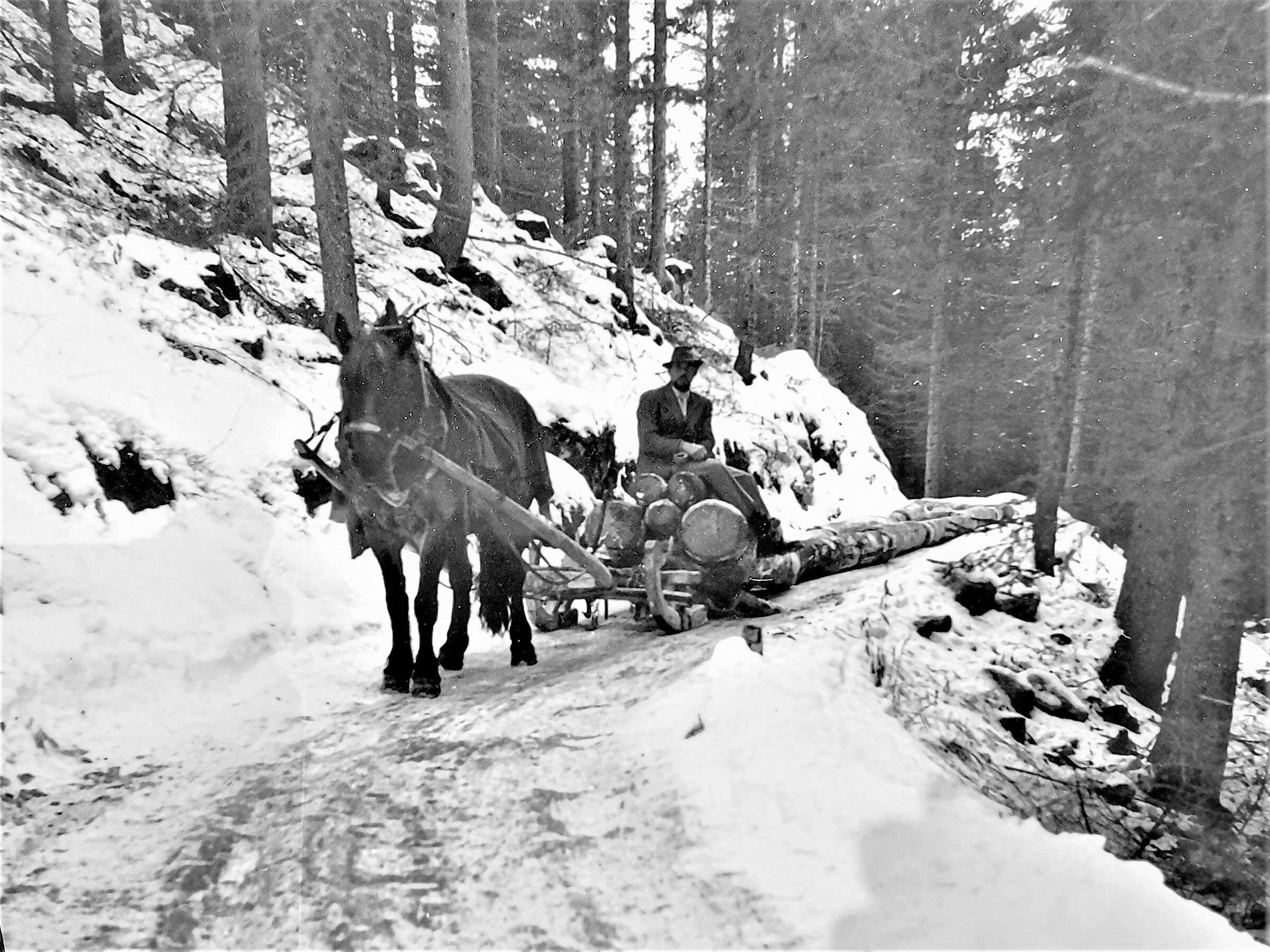 Nostral rogue - 14 -