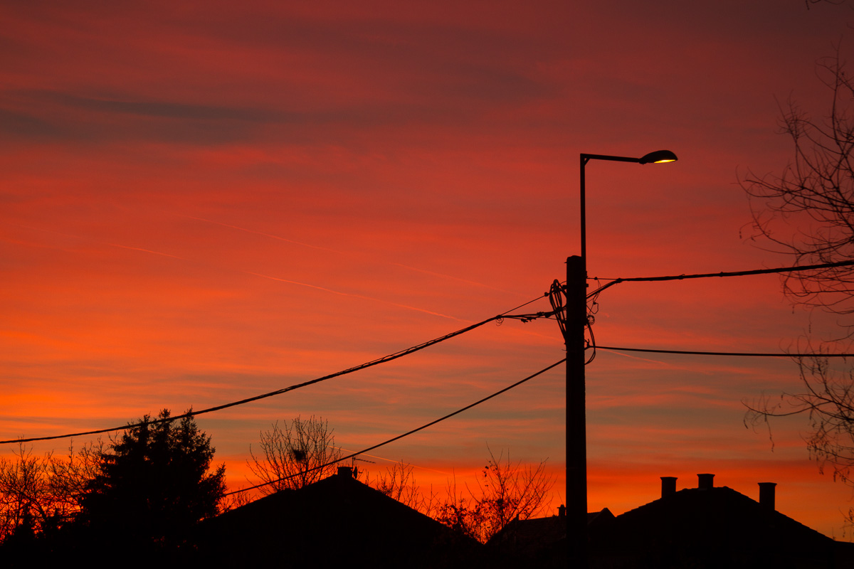 Just an evening shot