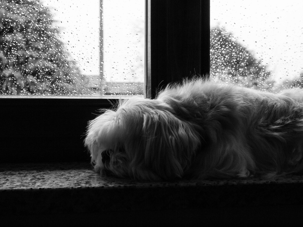 Raining