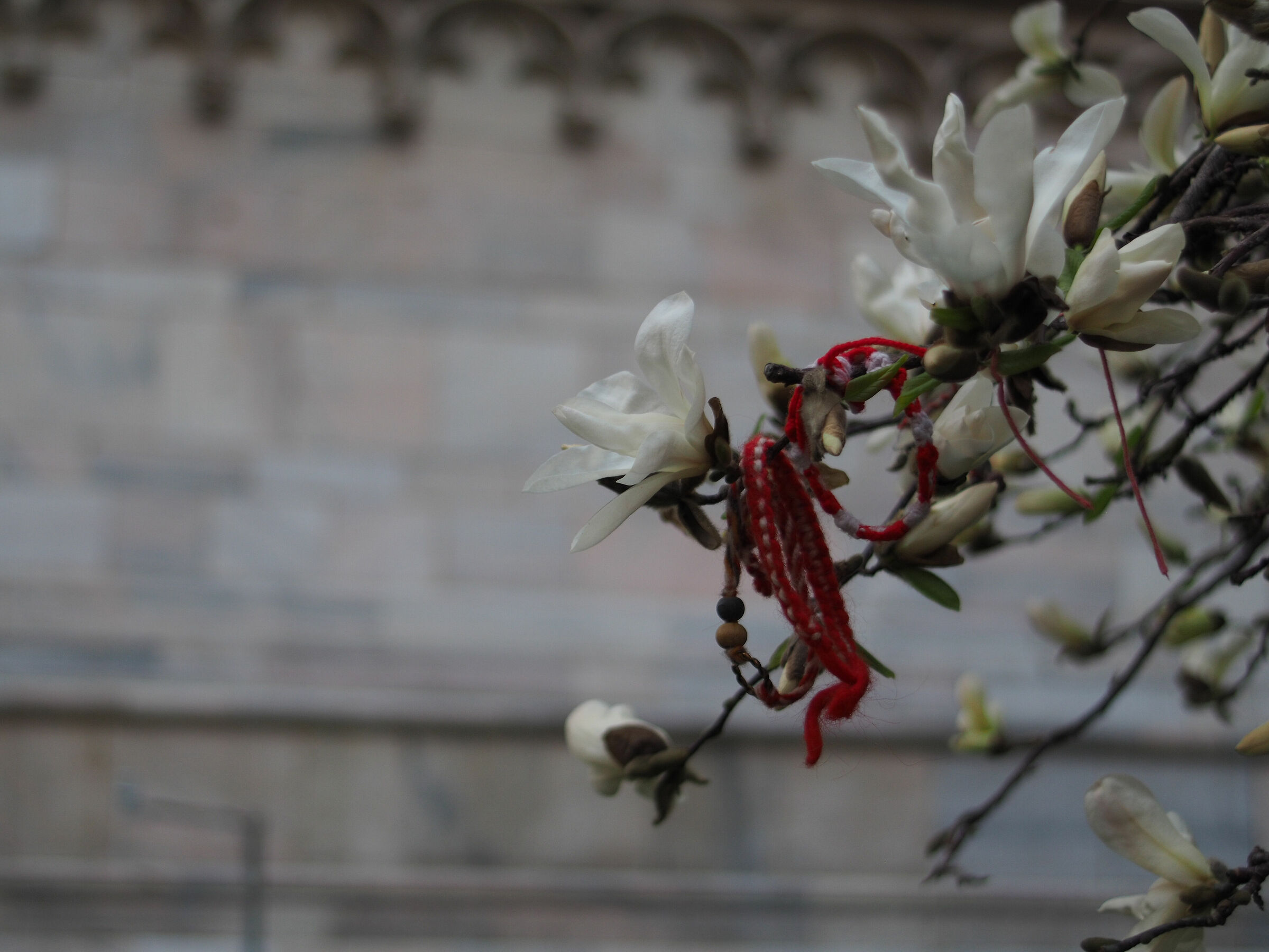 Nikkor 24 f2.8 pre-AI