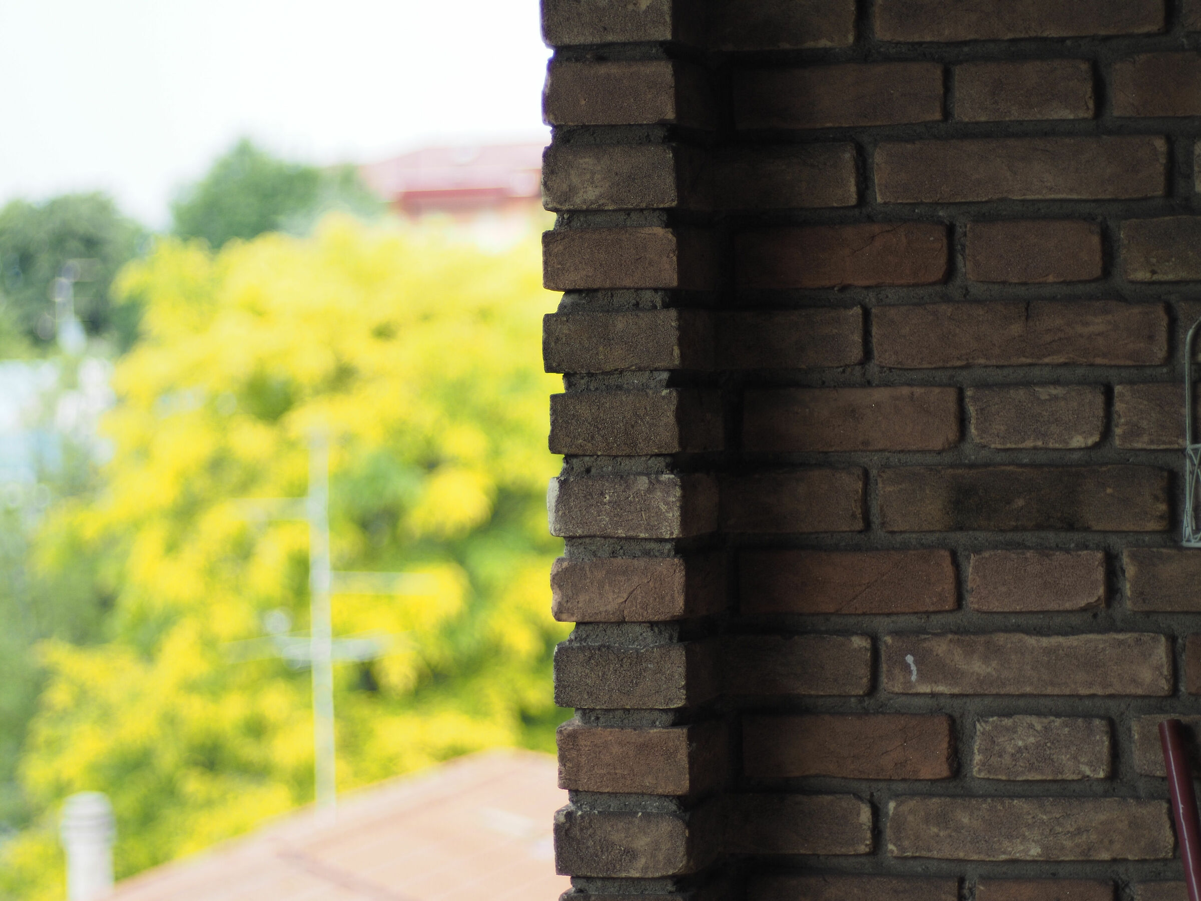 Rollei Planar 50 f1.8