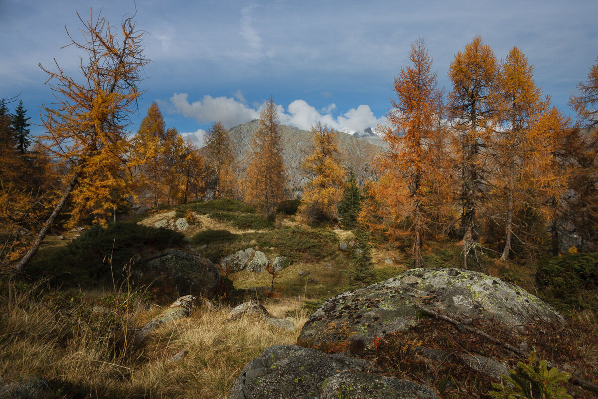 Autunno trentino ...