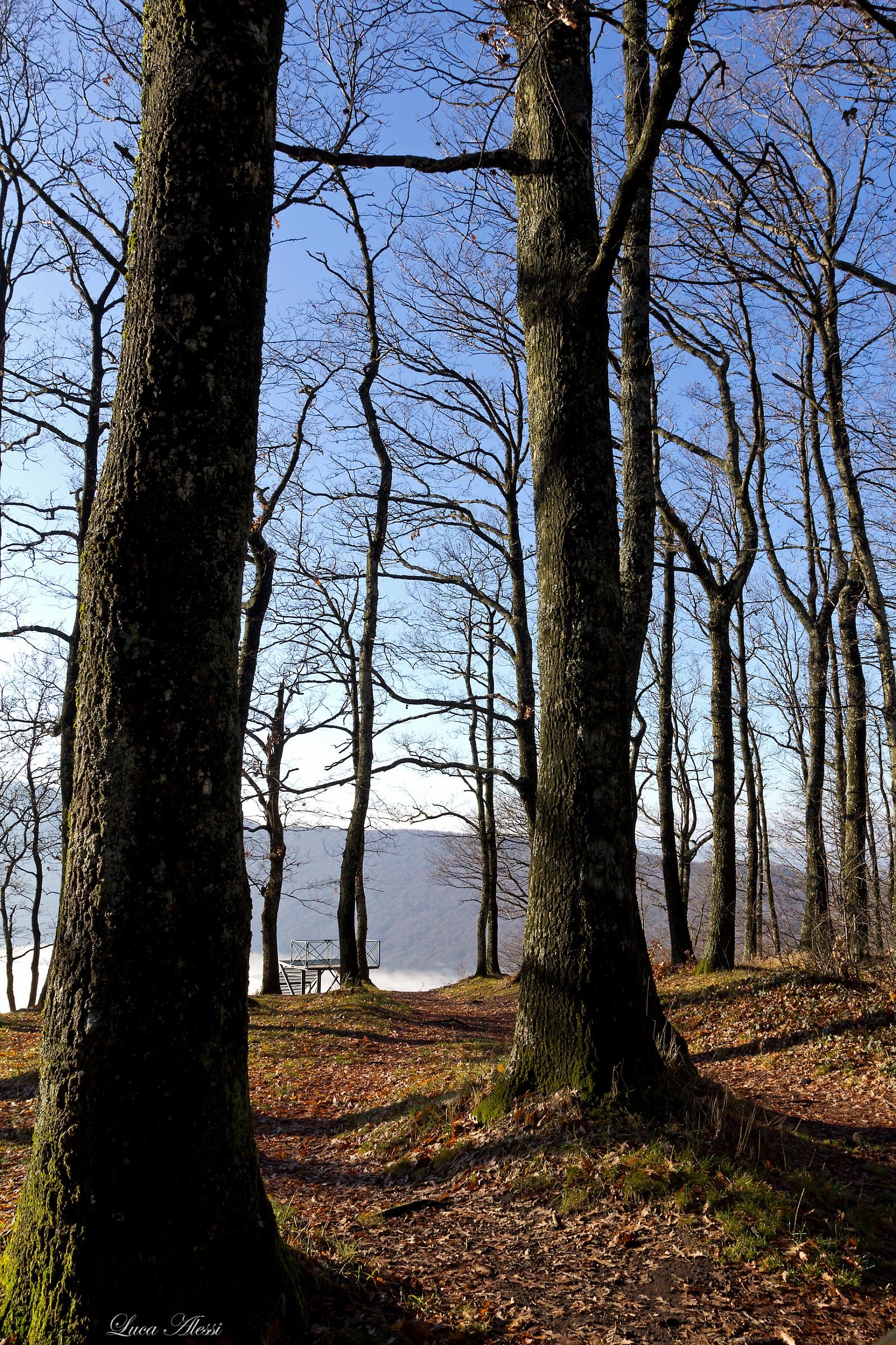 One winter morning ..