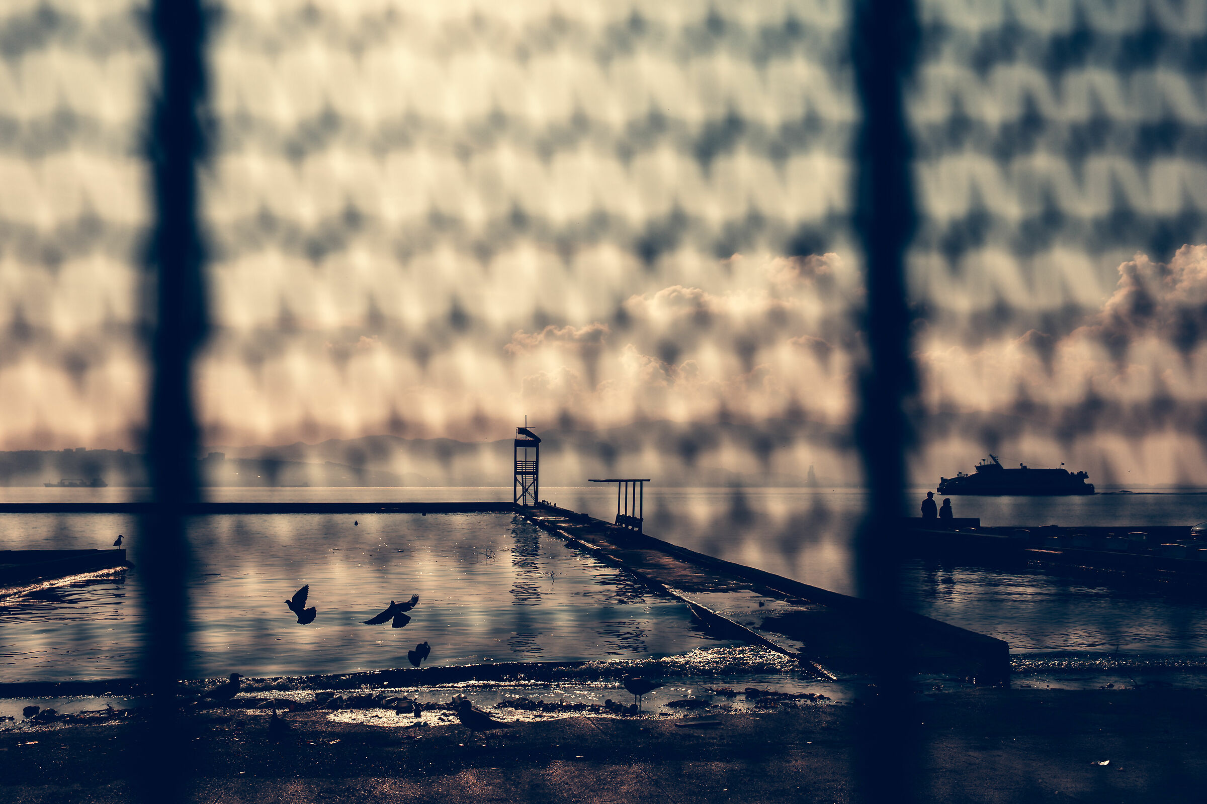 A Sunday in November