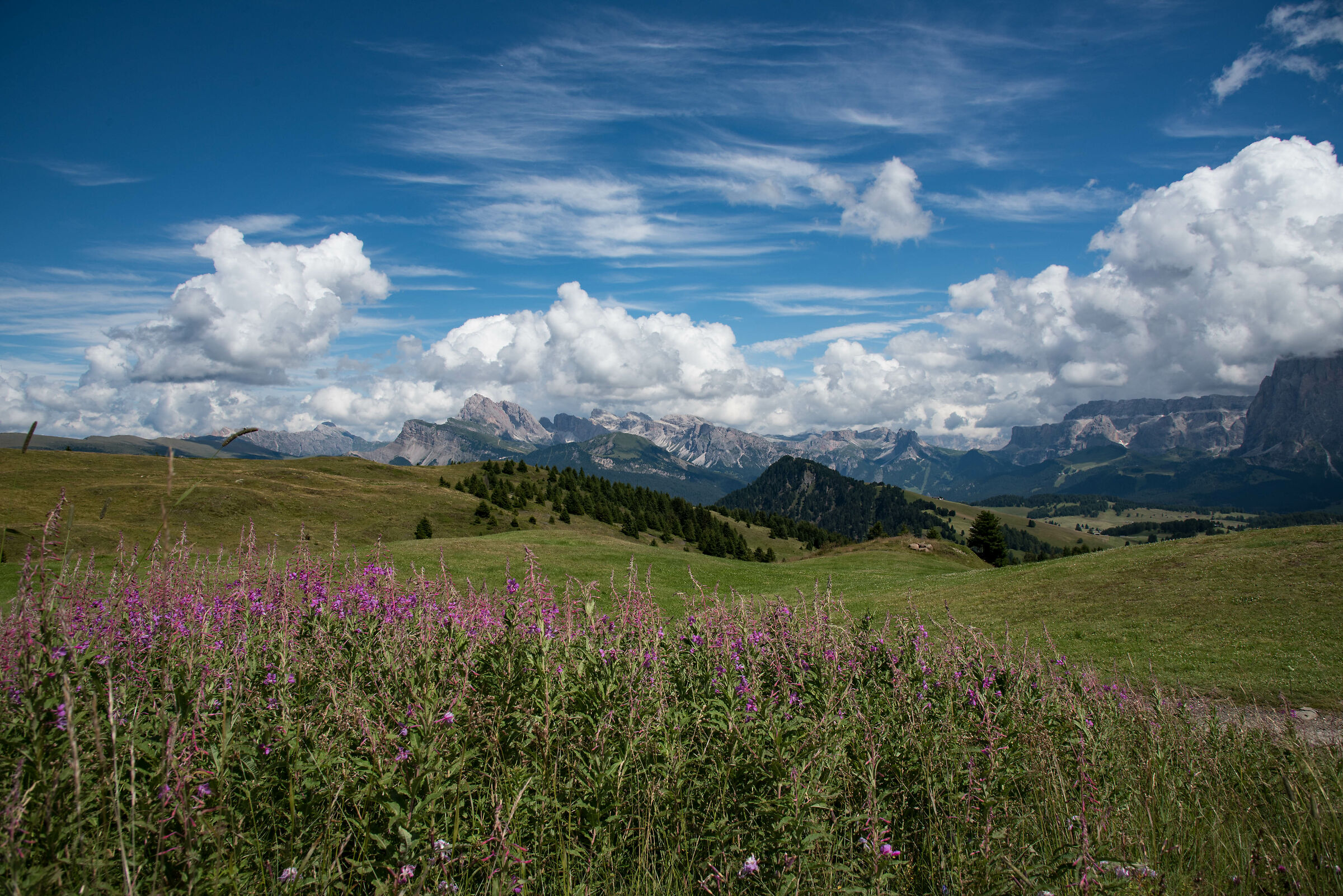 At the Alpe di Siusi