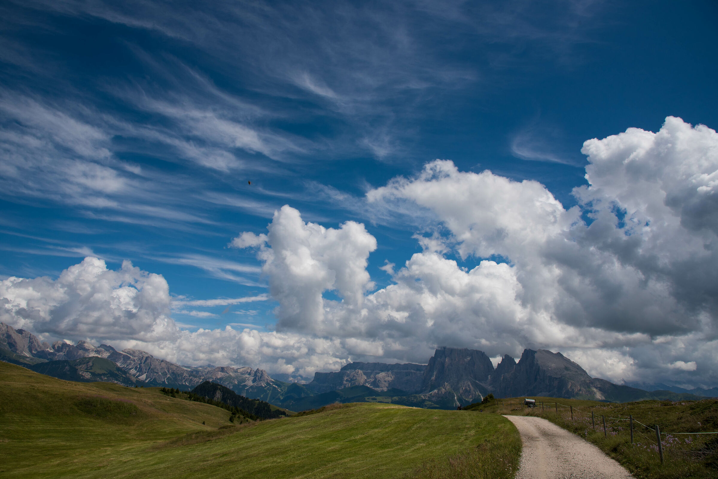 When the clouds are in charge