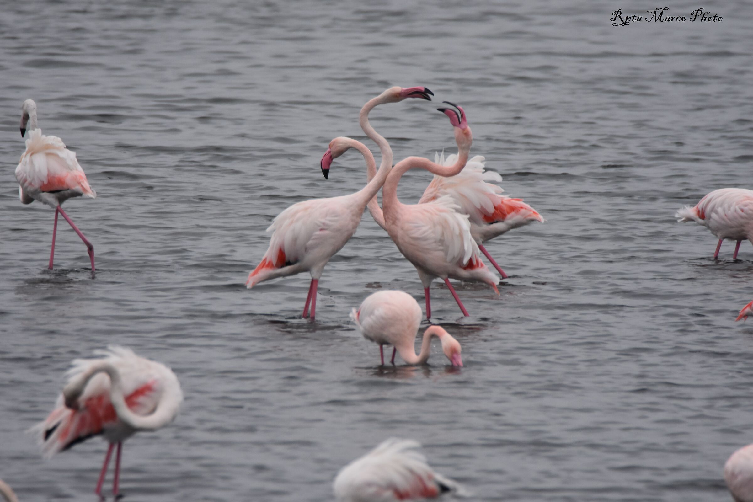 Now I'm really angry.