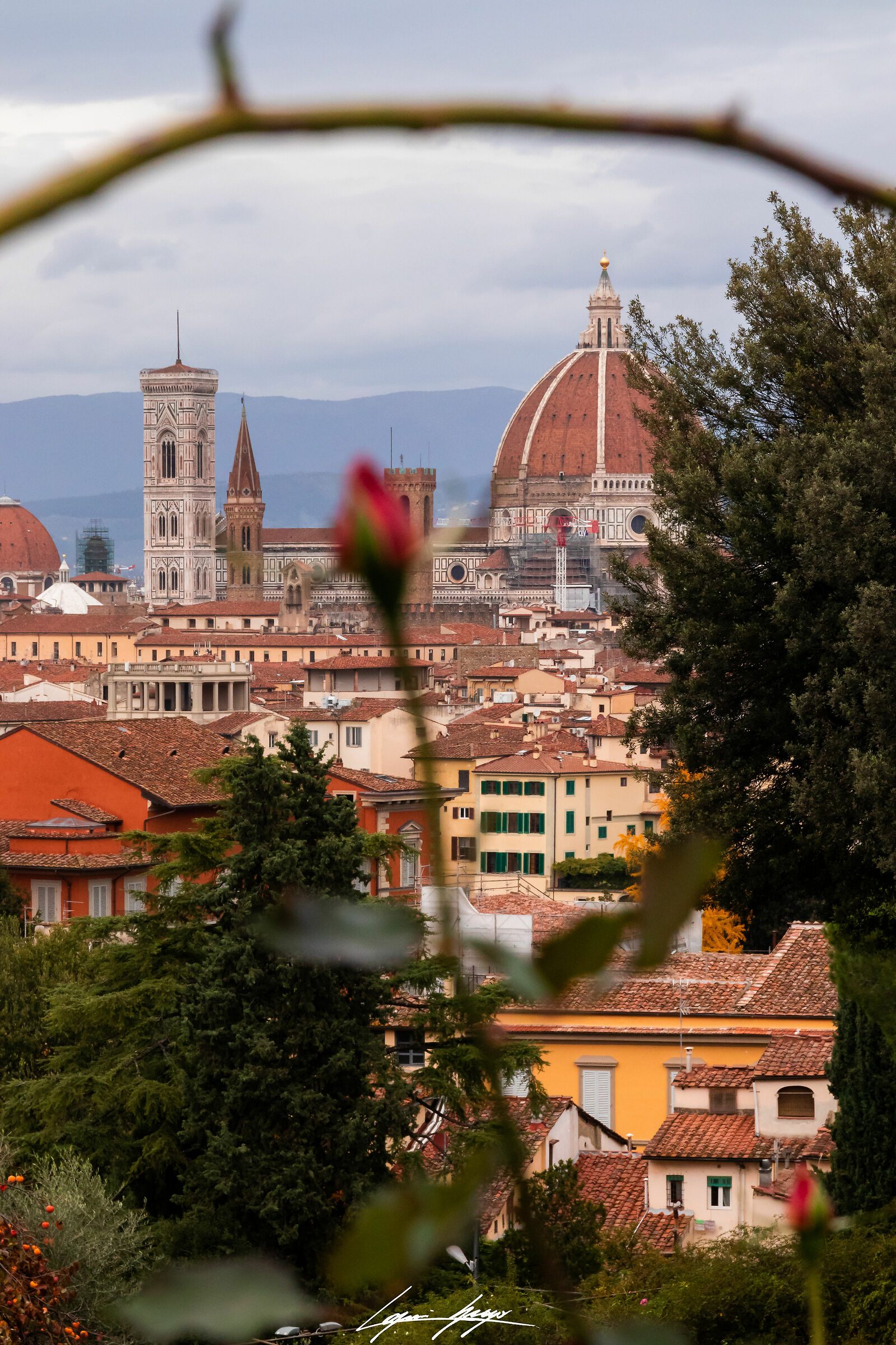 Florence the Romantic