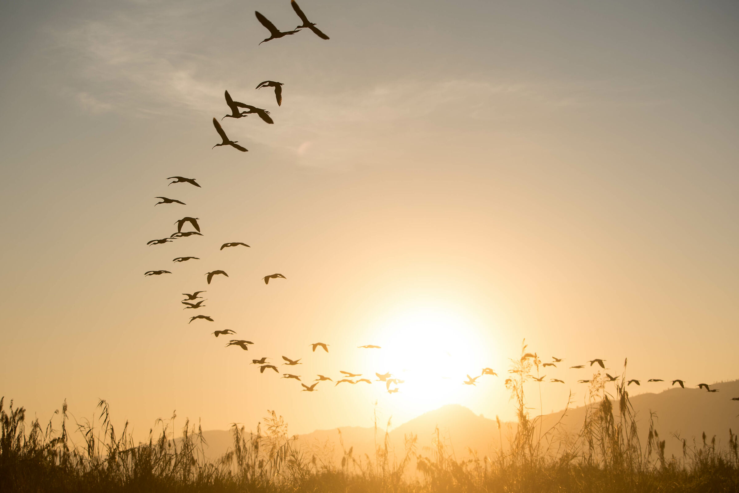 The thrill of the sunset