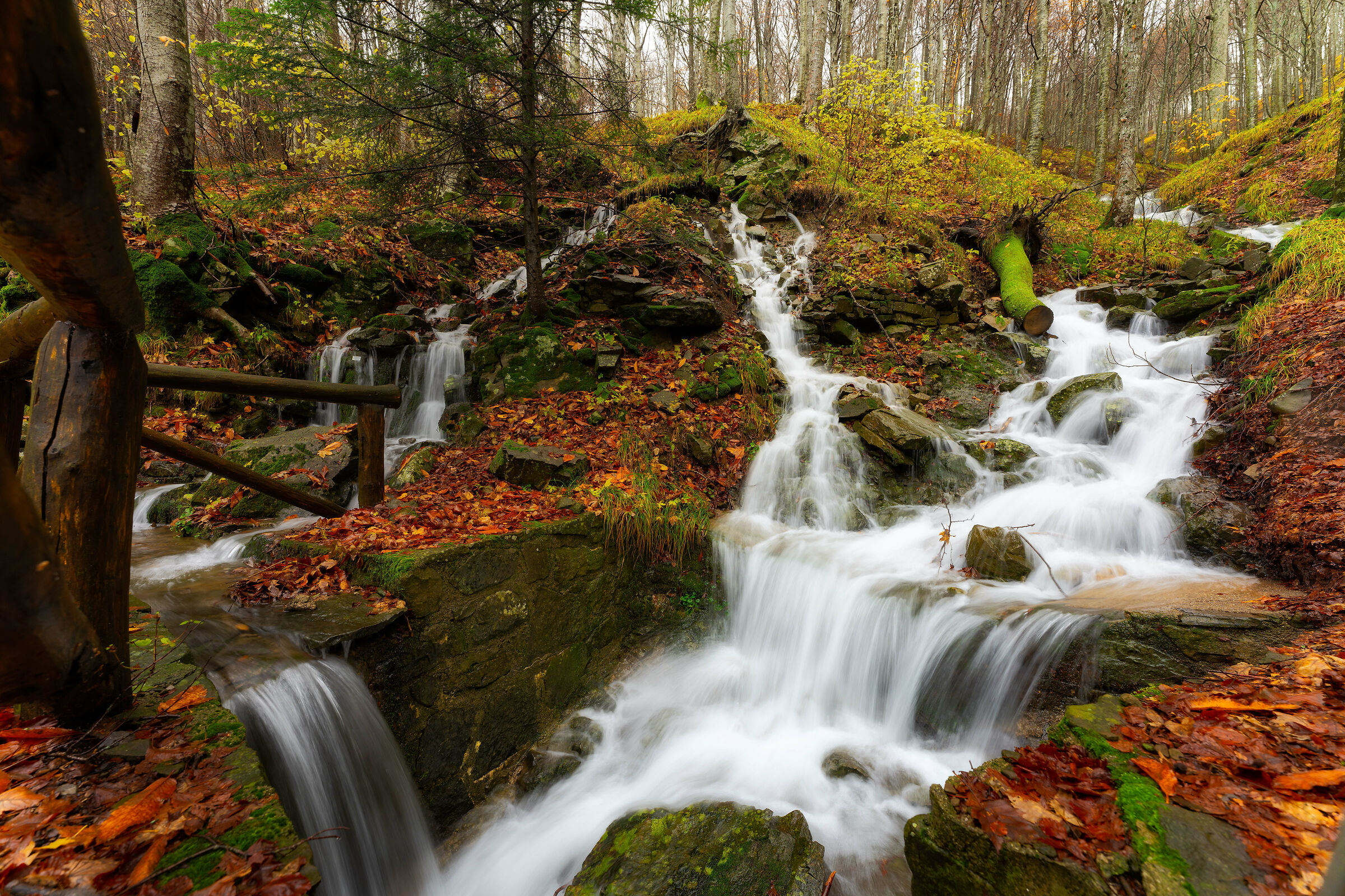 Prime Prove  sigma 14-24mm f/2.8 (A) AF DG DN E-Mount