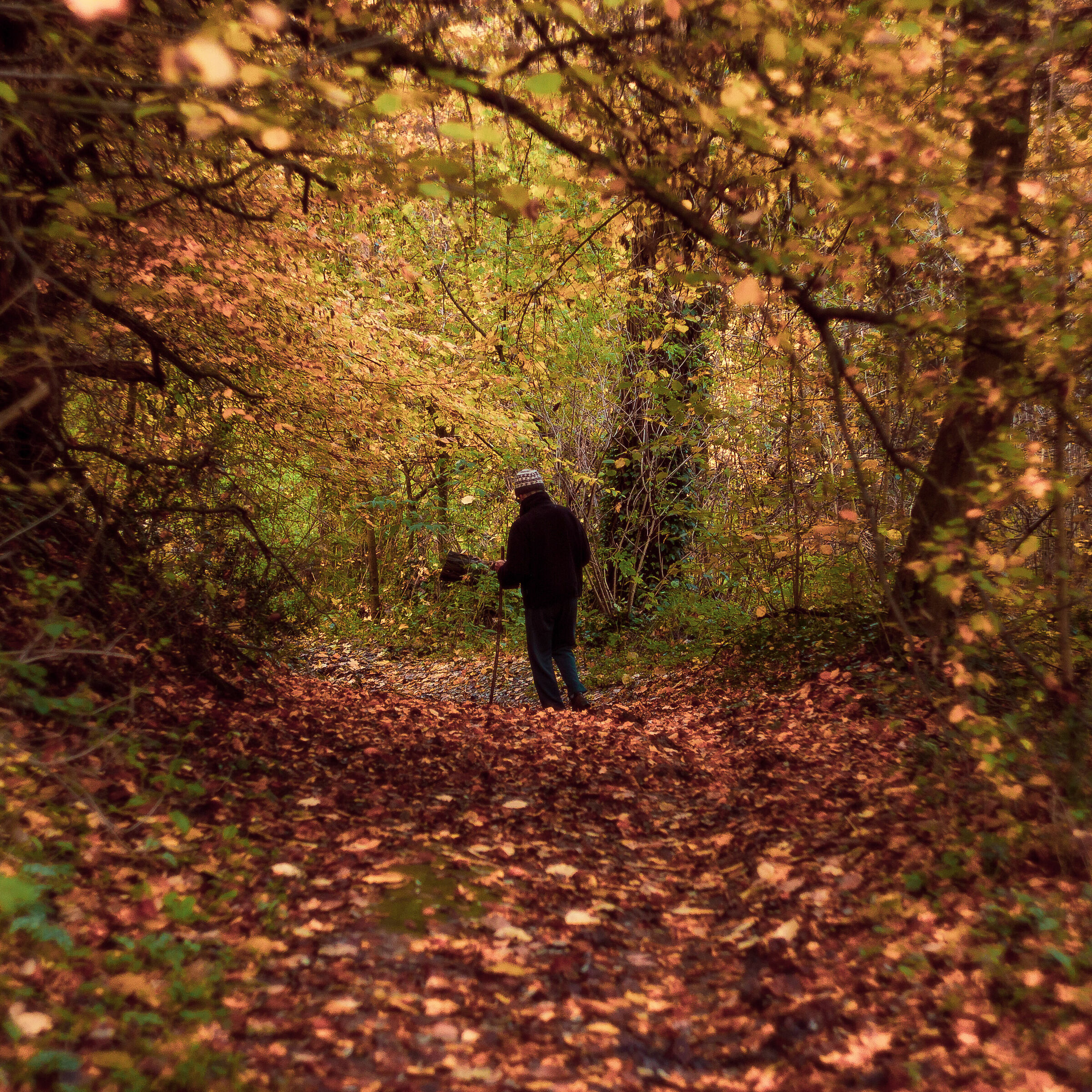 On the road to autumn