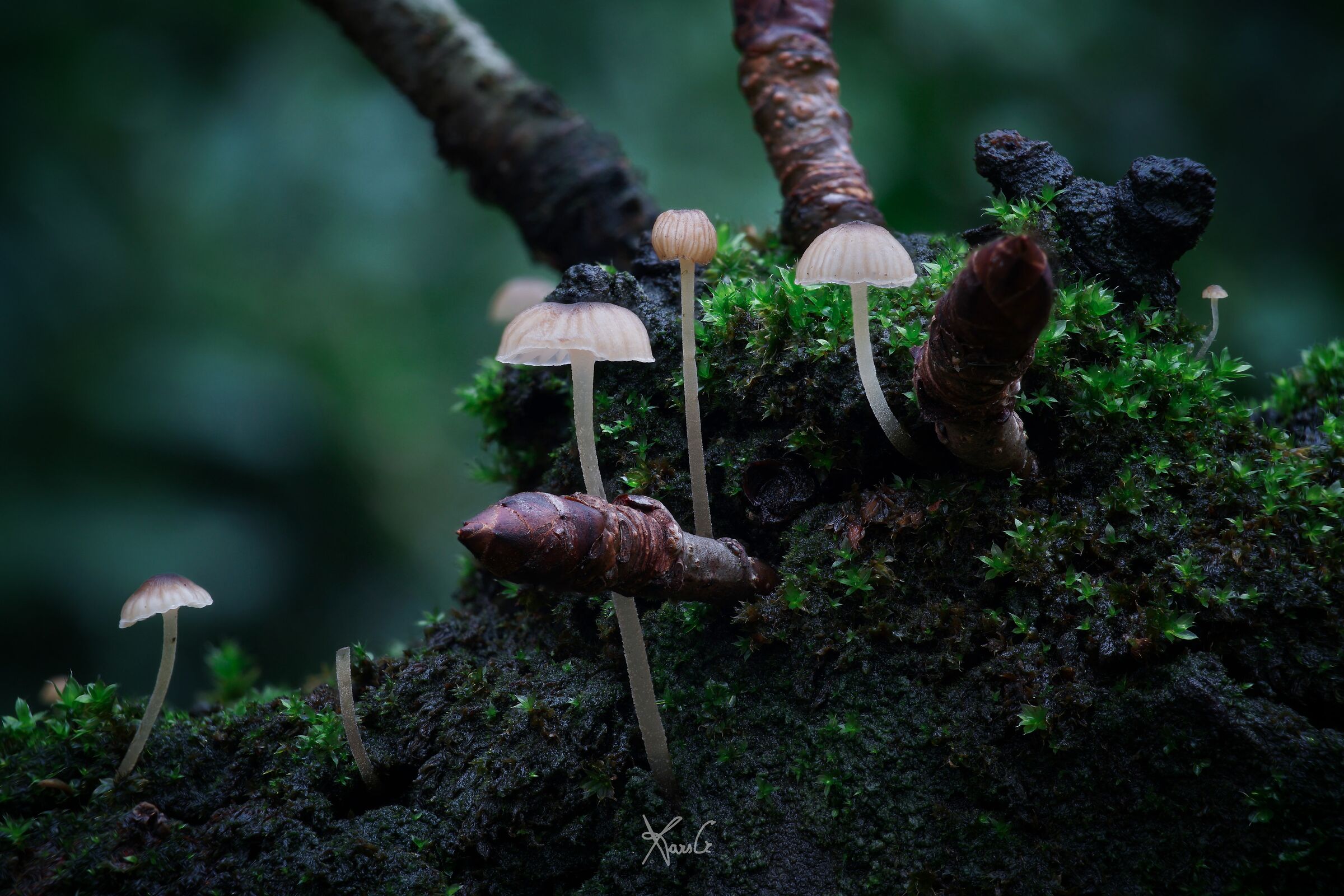 When it's been raining for days