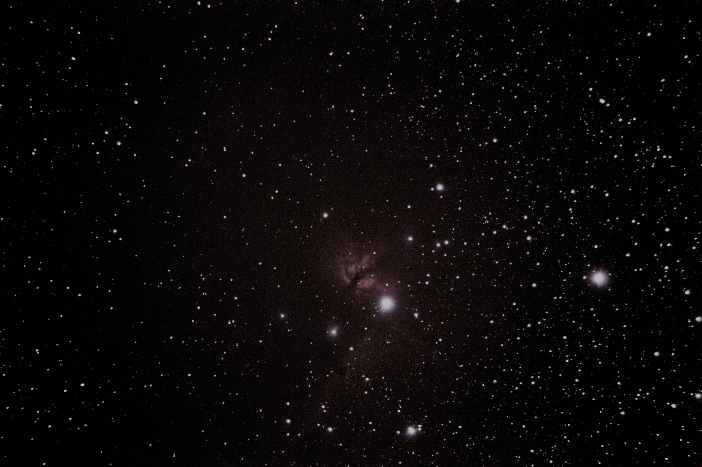 Horsehead and Flame Nebula