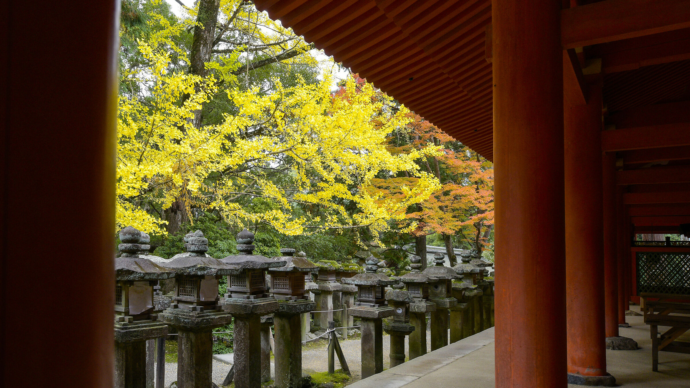 taken from one of the shrines