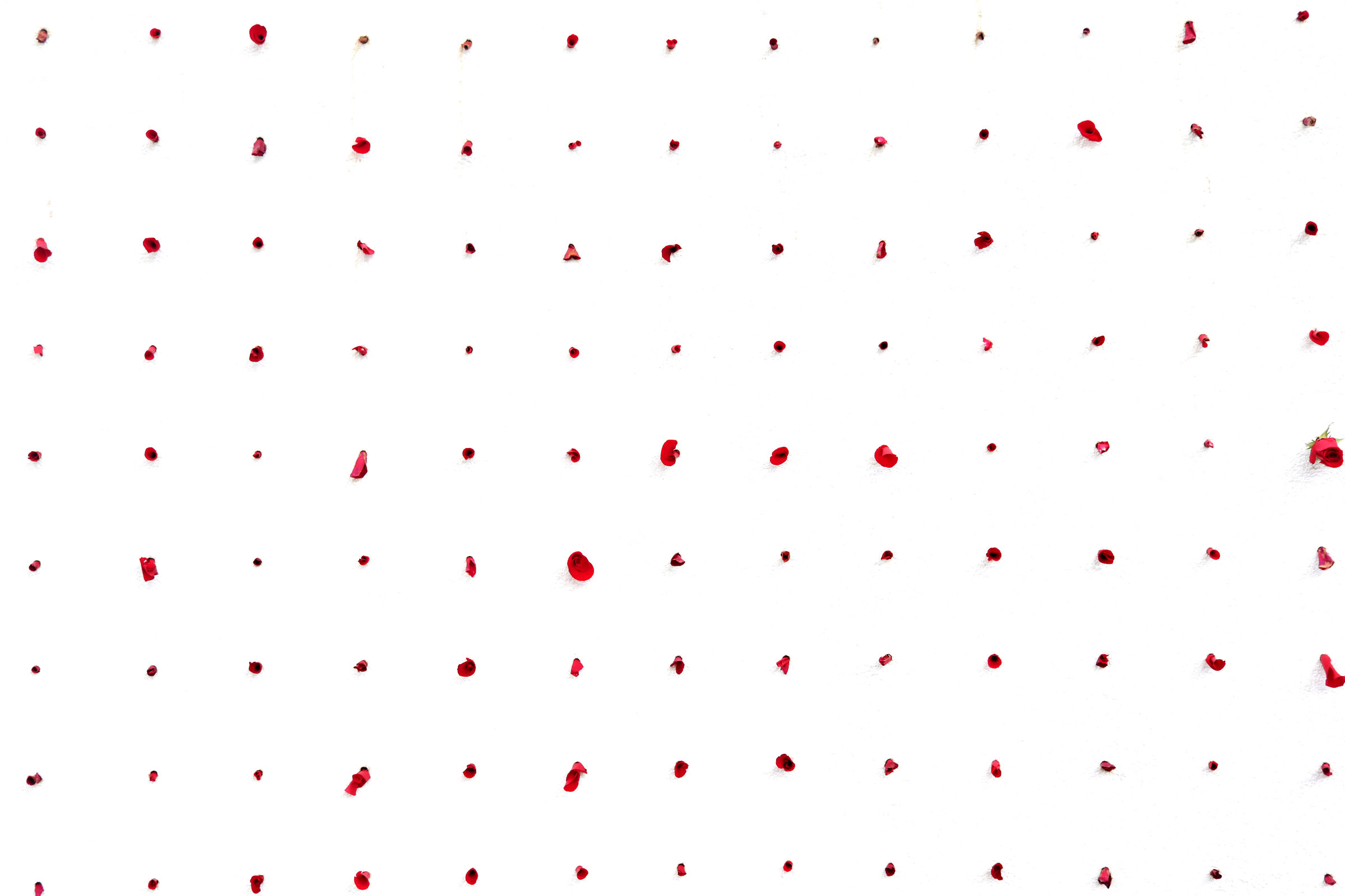 Belu-Simion Fainaru - Monument for Nothingness