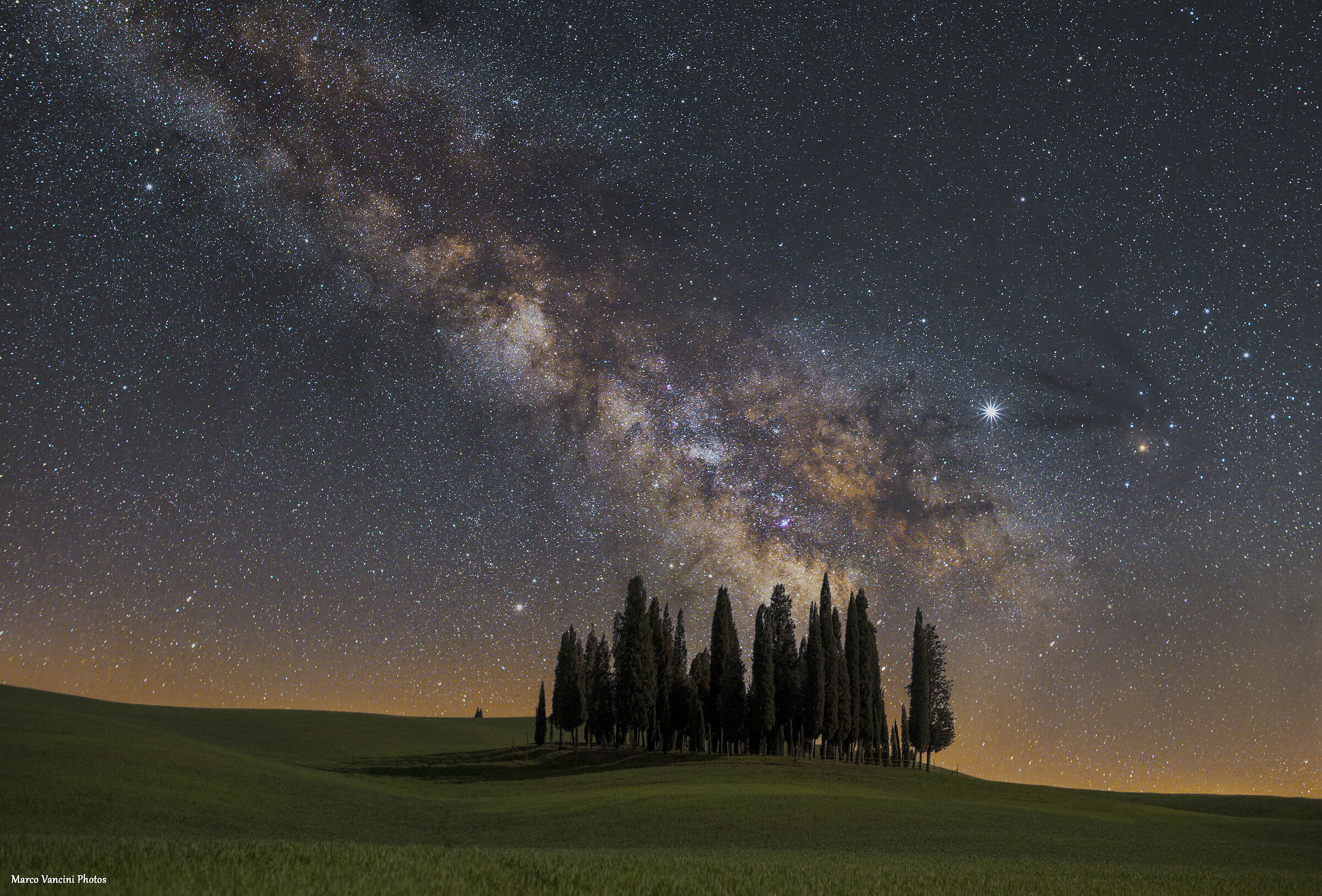the stars on cypresses