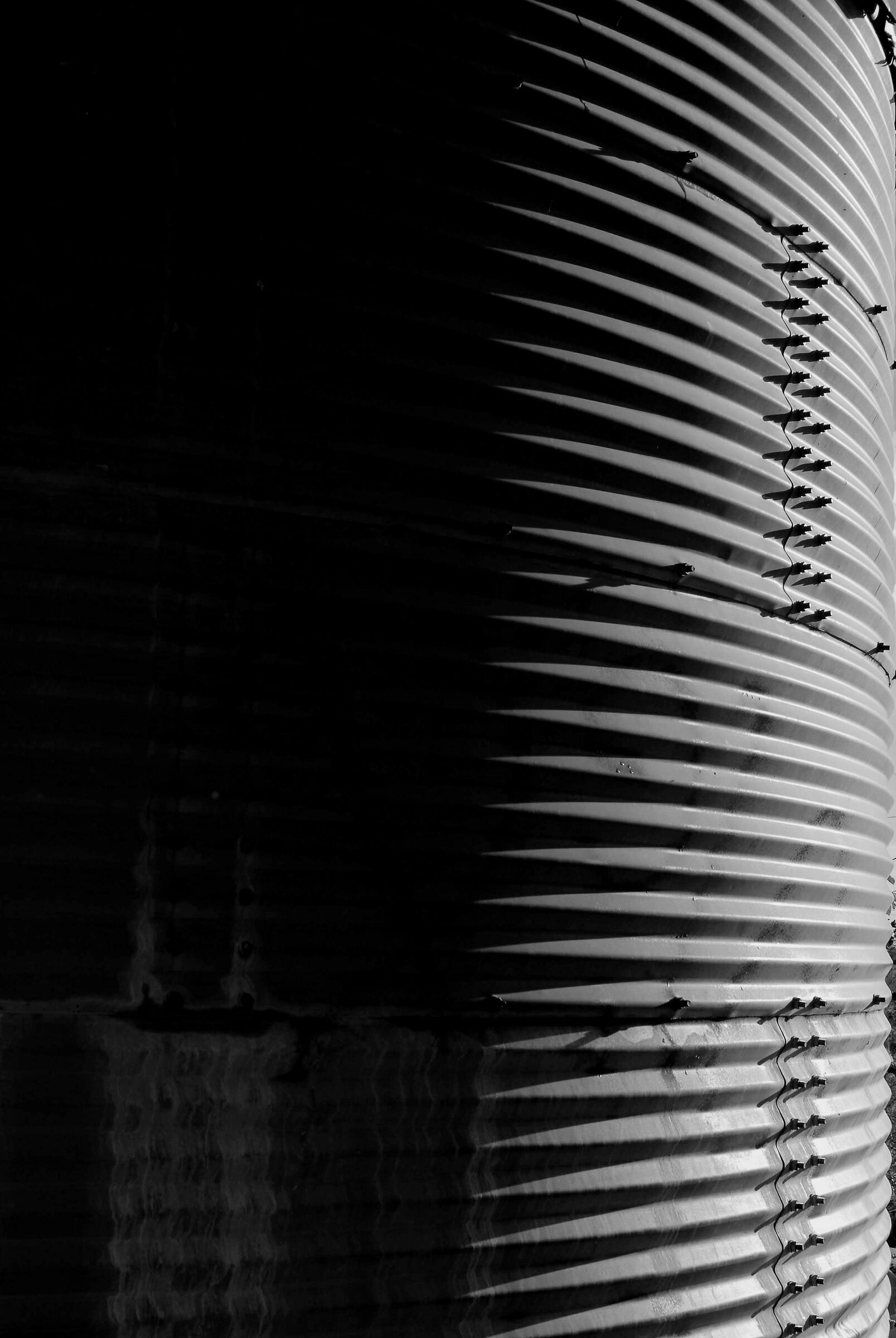 luci ed ombre in lattina