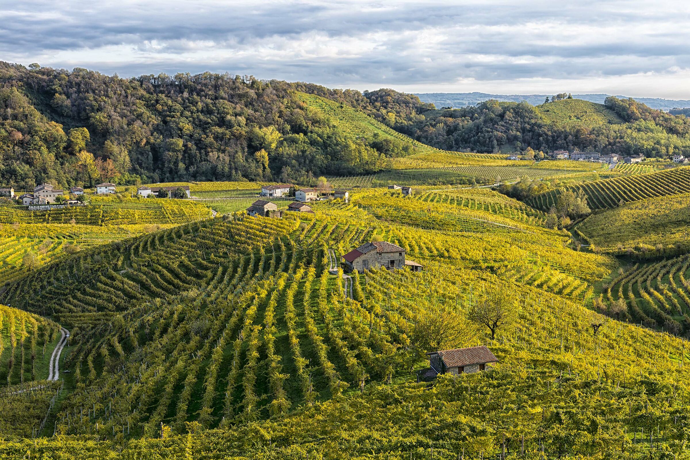 Autumn in Valdobbiadene