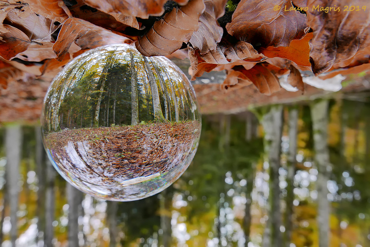 Autumn in a sphere