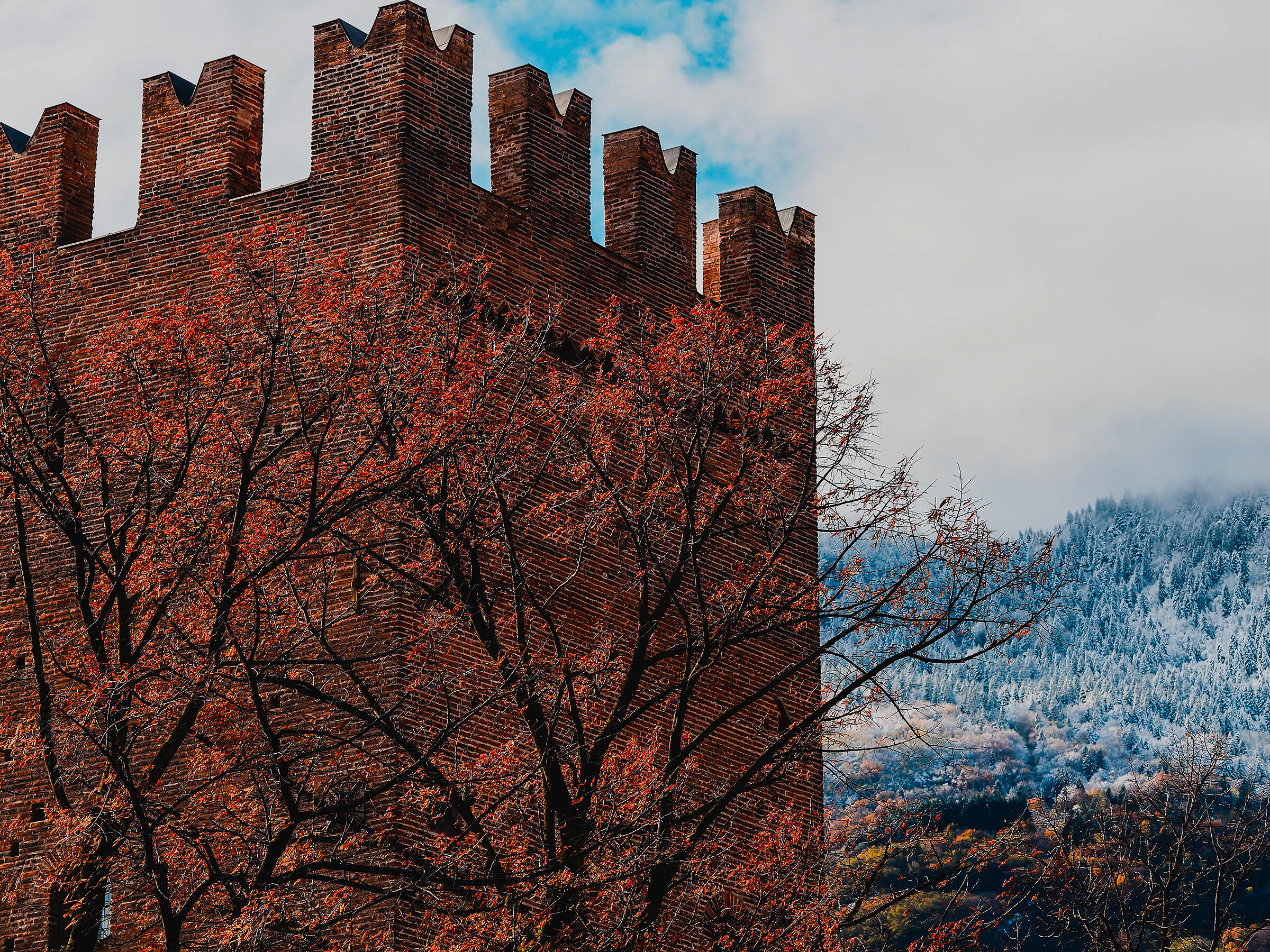 Trento 13/11/2019 II