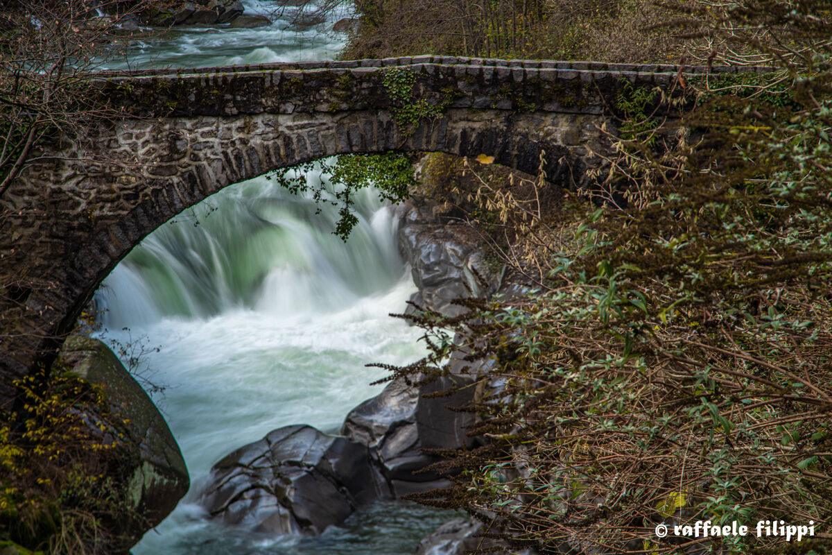 Torrente Deer at Bogna Bridge