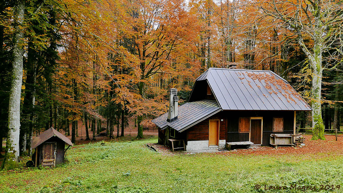 The big, small house