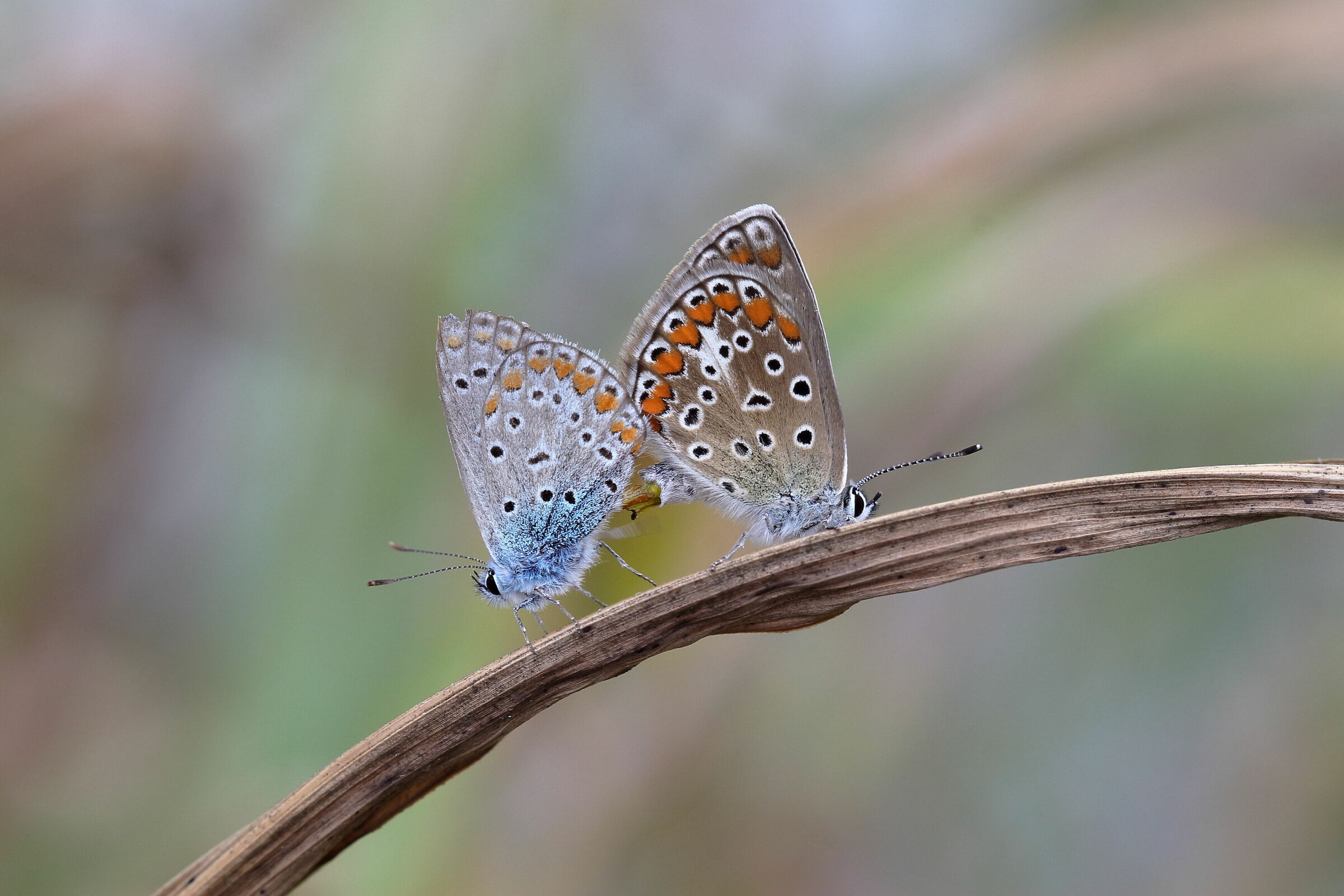 Hard moment: caught on the spot!