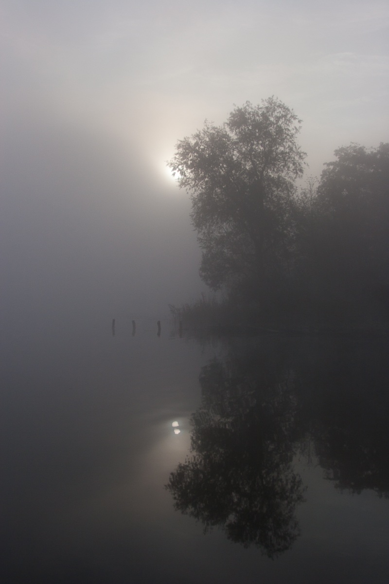 Fog on the lake
