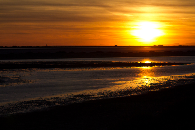 Sunset in the Camargue